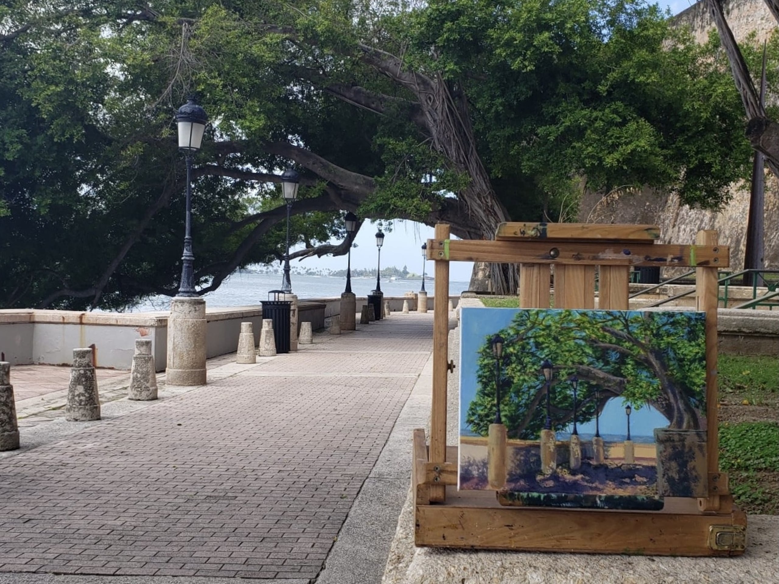 La Escuela de Artes Plásticas y Diseño  es la única institución de educación superior en Puerto Rico que ofrece un bachillerato en Artes Plásticas con ocho concentraciones.