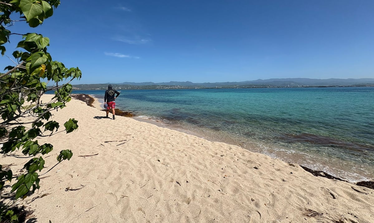 Ed Rincon FOTOS: Un rincón secreto llamado Isla Cardona - Primera Hora