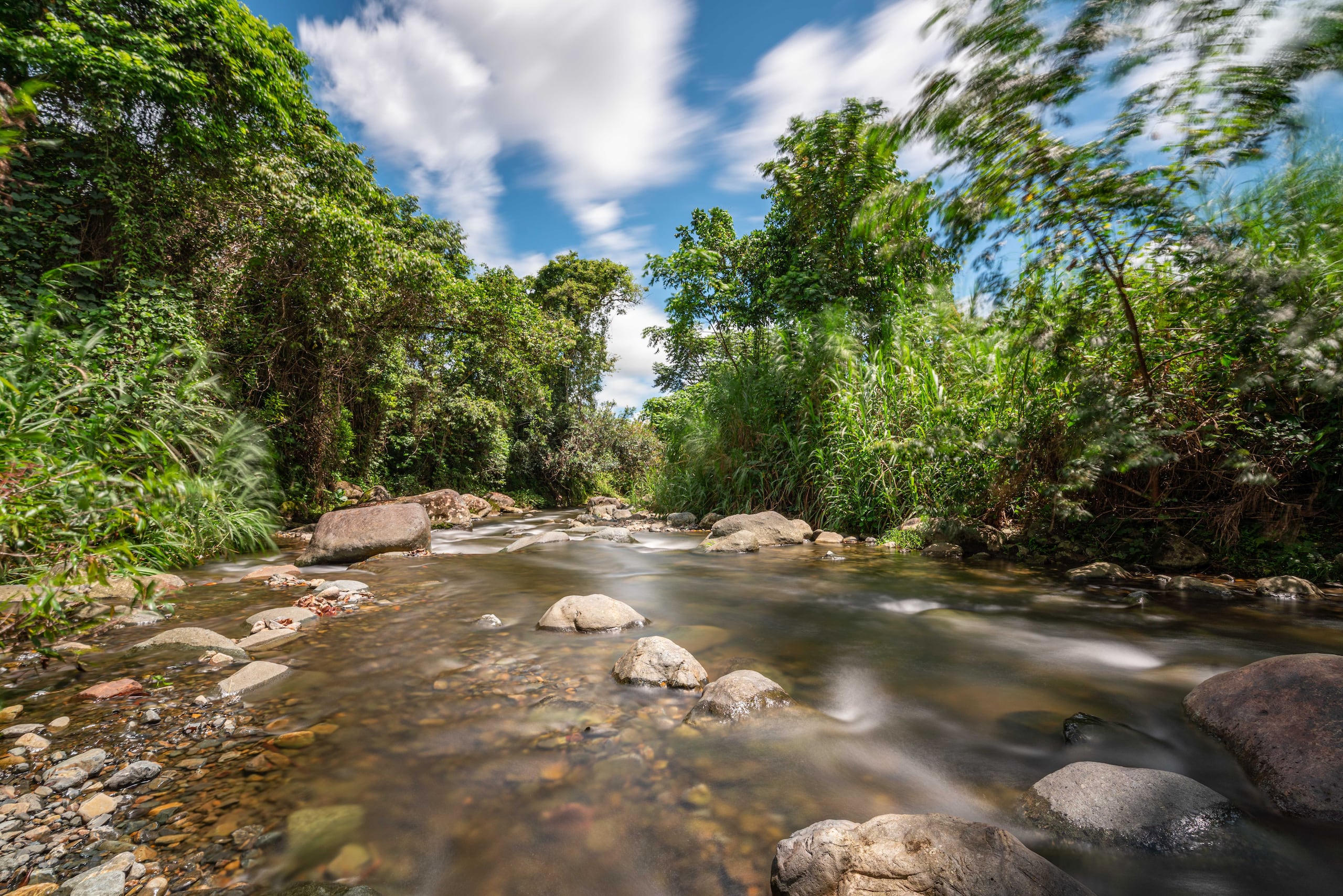 Charco Frío
