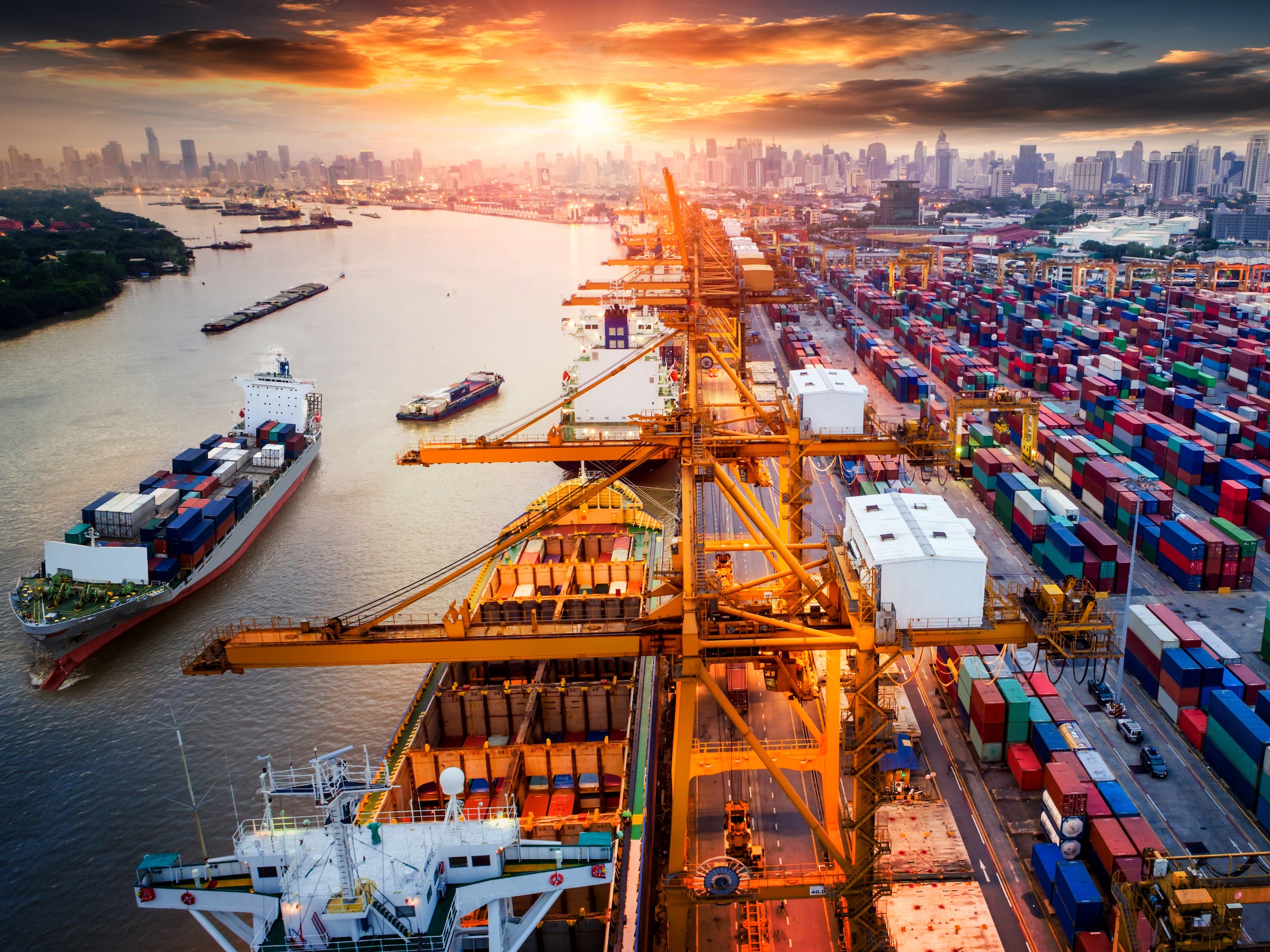 Para fortalecer nuestra cadena de suministros y poder proveer los bienes a los clusters, tales como Aeroespacial, "Medical Devices", Alimentos y Biociencias y Farmacéuticas, tenemos que lograr que dichas empresas se integren en el desarrollo de los proveedores potenciales locales.