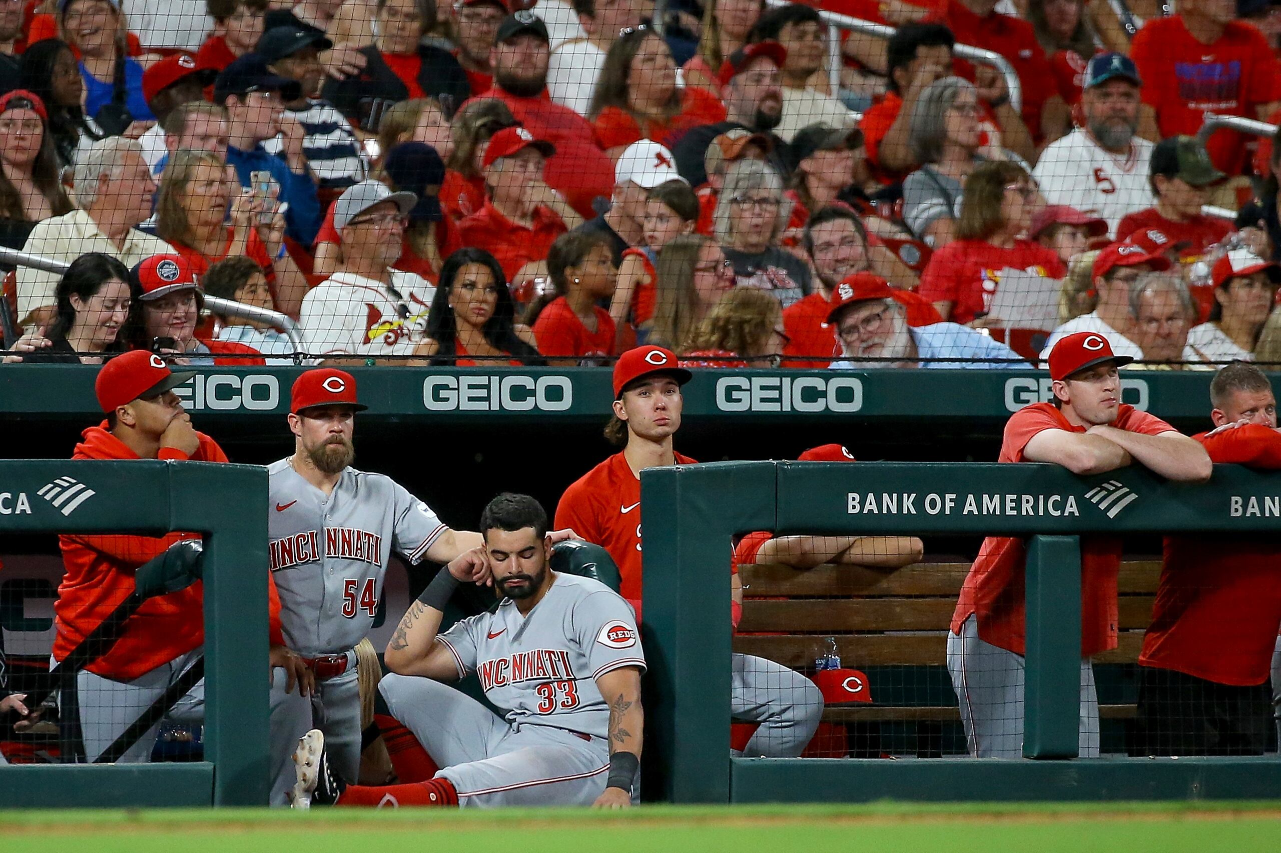 Los Rojos de Cincinnati observan el juego del sábado 30 de septiembre de 2023, ante los Cardenales de San Luis, en el que quedaron oficialmente fuera de los playoffs (AP Foto/Scott Kane)