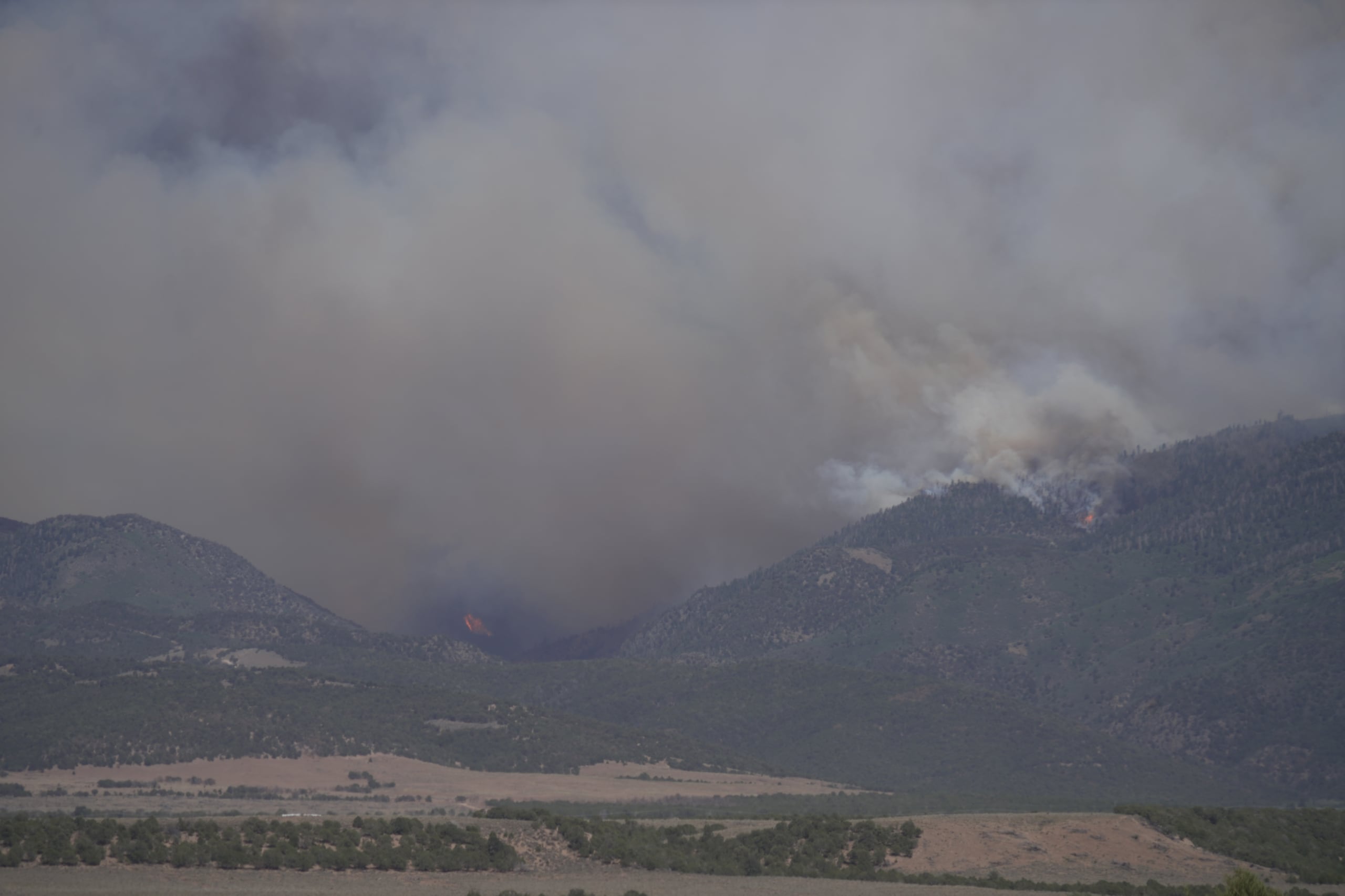 Según el gobernador de Utah, la mayoría de los incendios forestales ocurridos en lo que va de año, han sido provocados o intencionales.