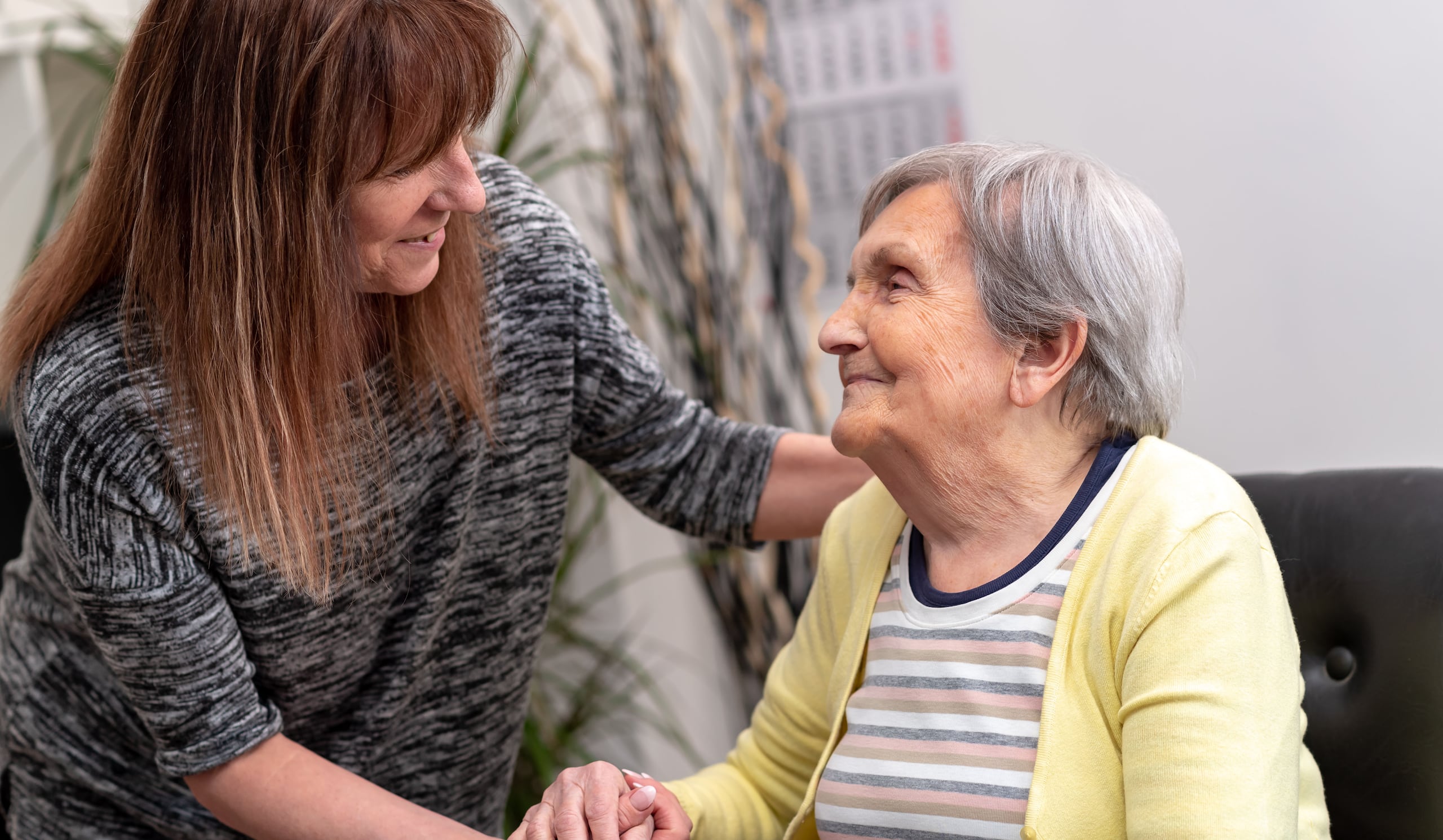 La propuesta enmendaría el Código Civil para incluir a los cuidadores diarios, aunque no compartieran lazos sanguíneos o de parentesco” con el fallecido.
