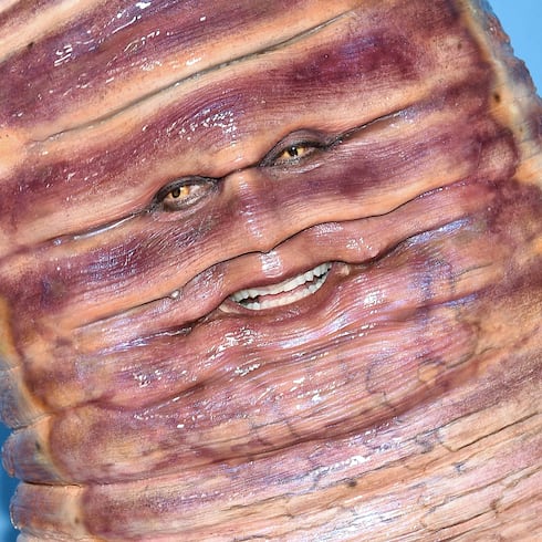 FOTOS: La reina del Halloween Heidi Klum y sus disfraces más impresionantes