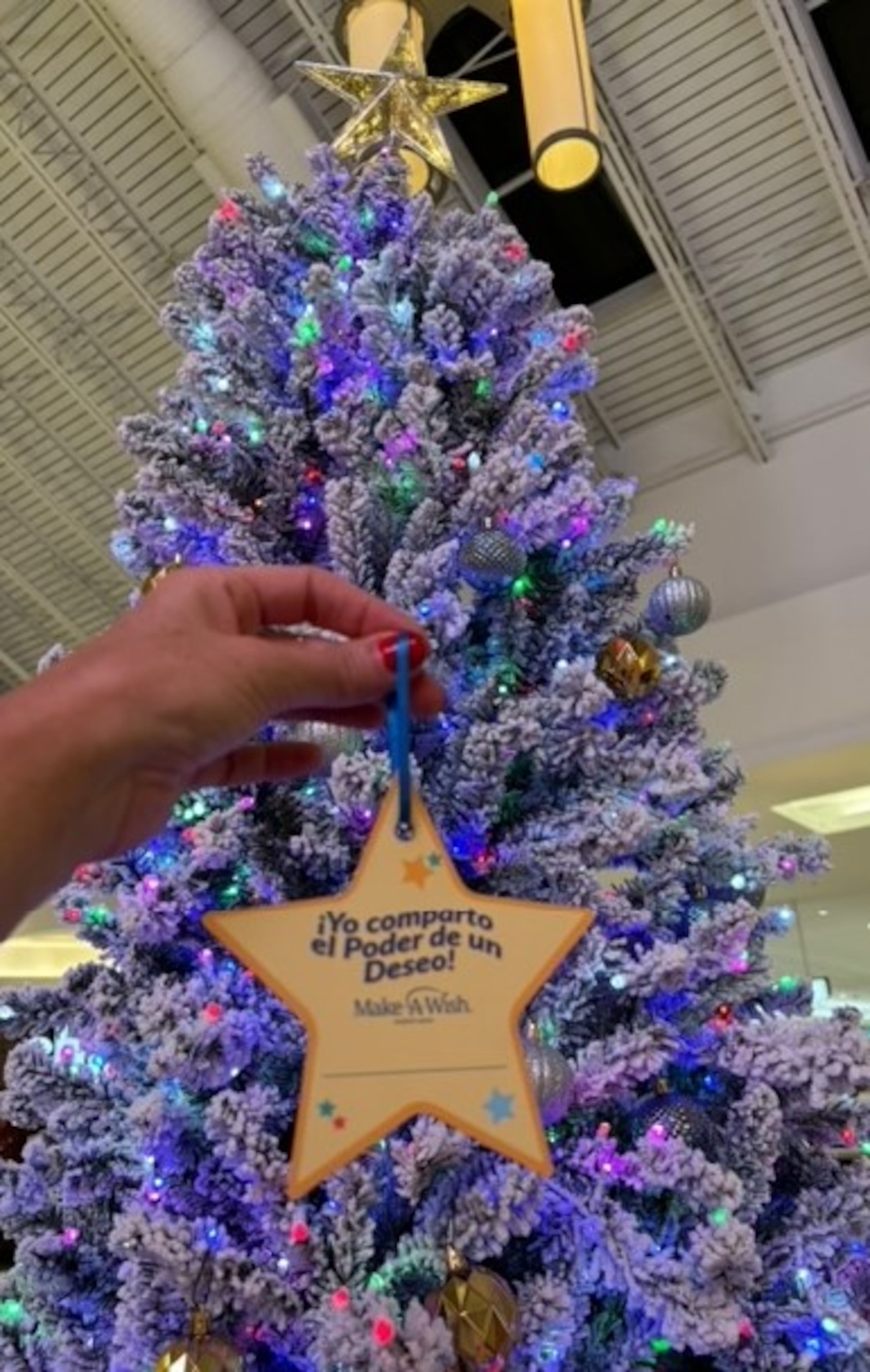 La iniciativa de decorar un árbol se estará dando en varios centros comerciales de la Isla.