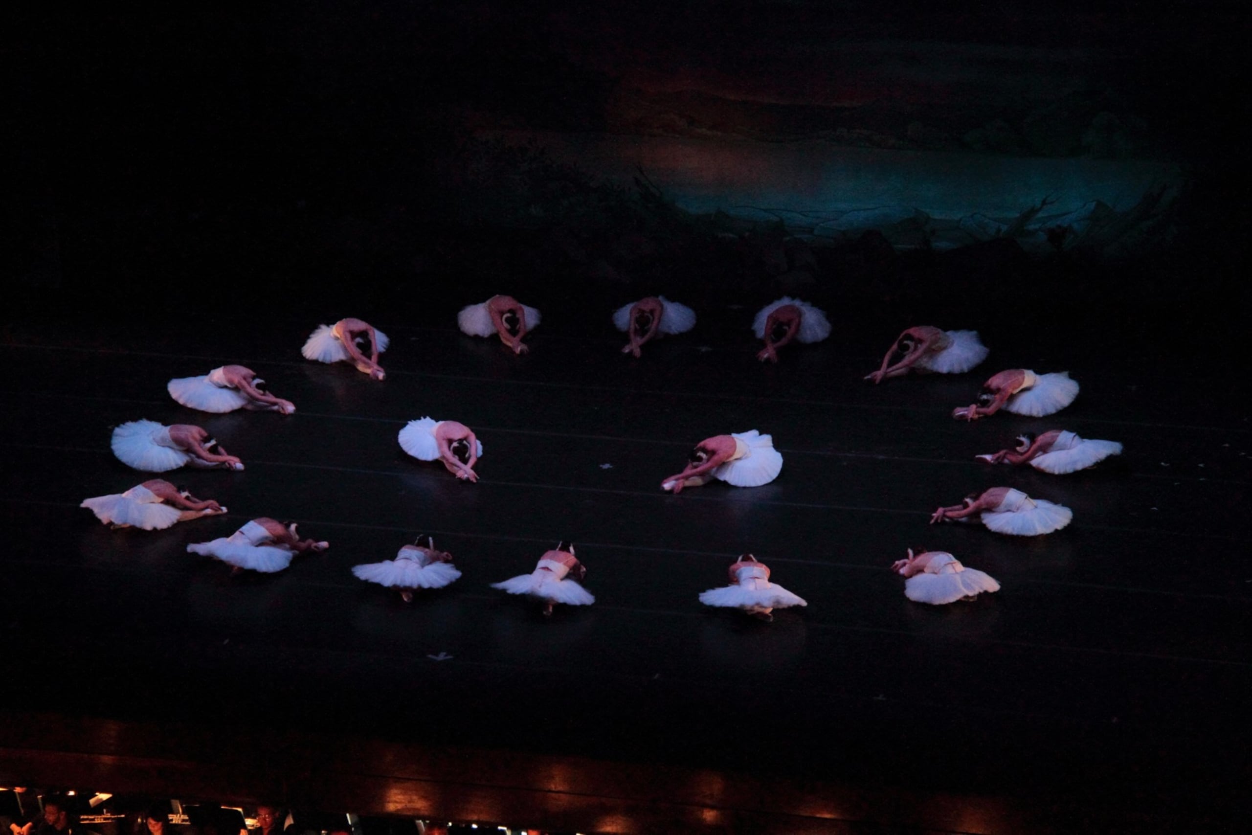 Ballet Concierto presentará "El lago de los cisnes" los días 27 y 28 de abril.