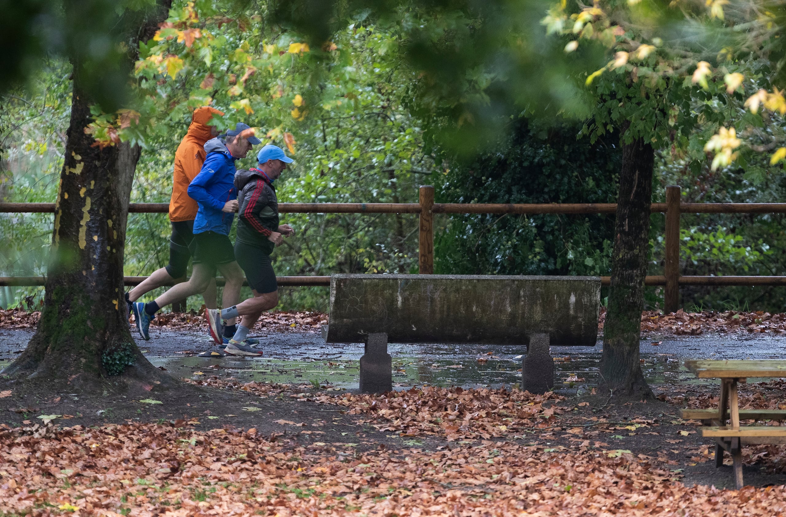 Los investigadores analizaron los datos de 296 participantes de entre 50 y 90 años del Estudio sobre el Envejecimiento Cerebral de Harvard, todos ellos sin deterioro cognitivo al inicio del estudio.