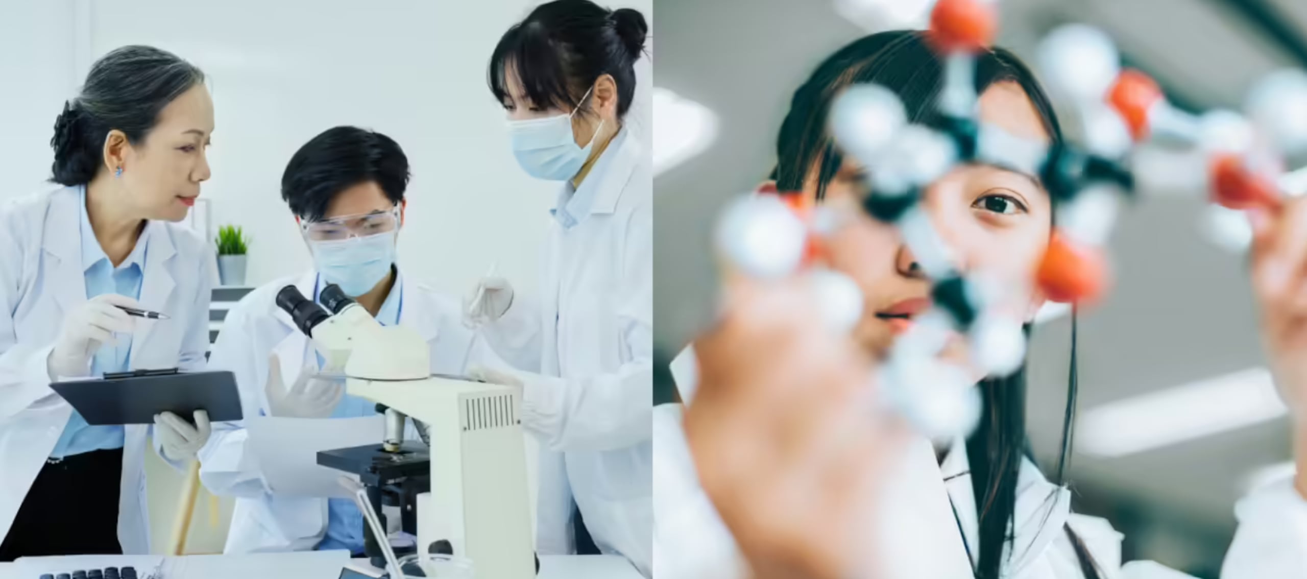 El organismo puede replicar la información genética de otros.