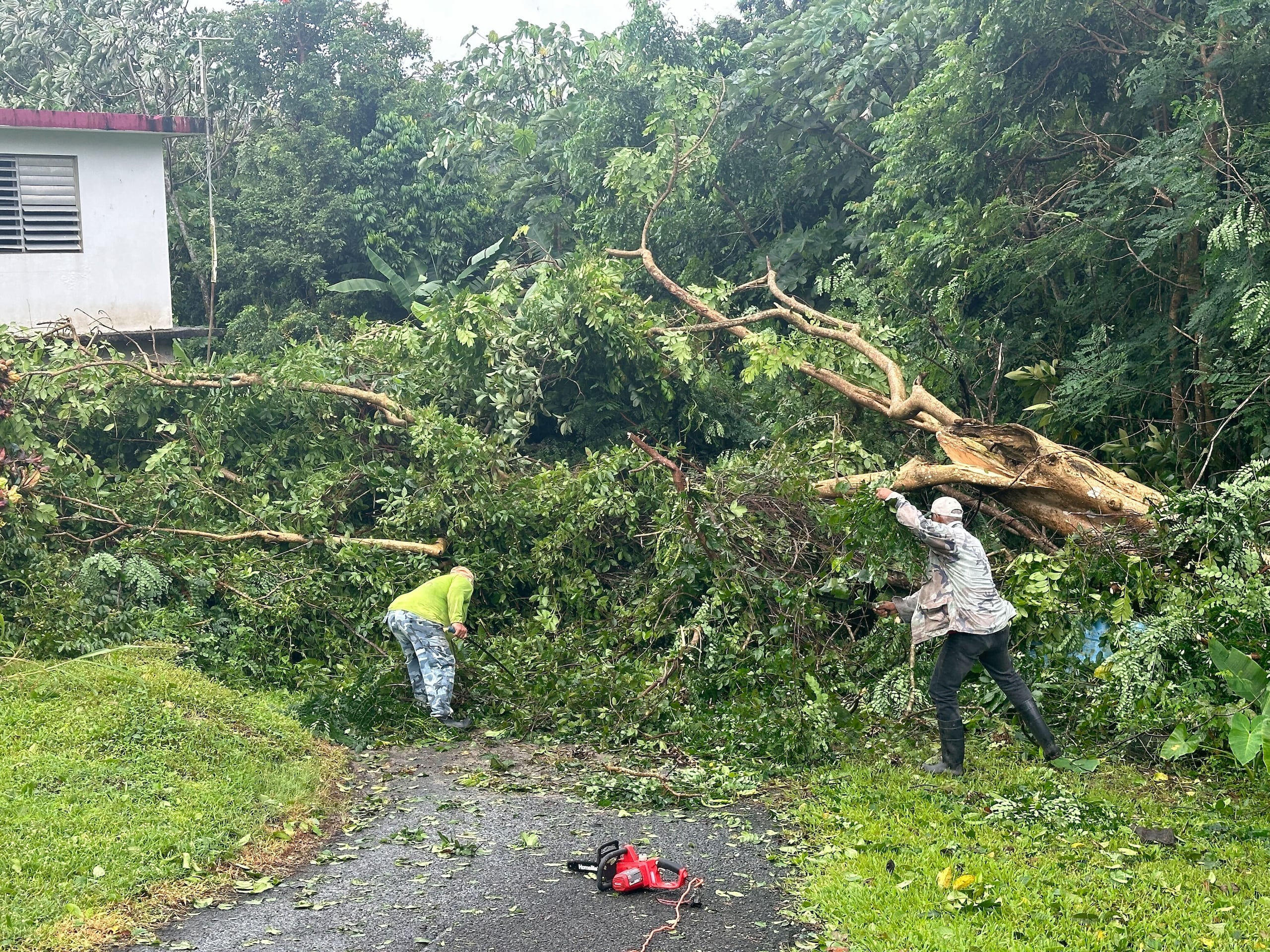 El ciudadano indicó que el suceso se dio temprano en la madrugada, momento en que empezaron a sentir los efectos del ciclón en Las Piedras.