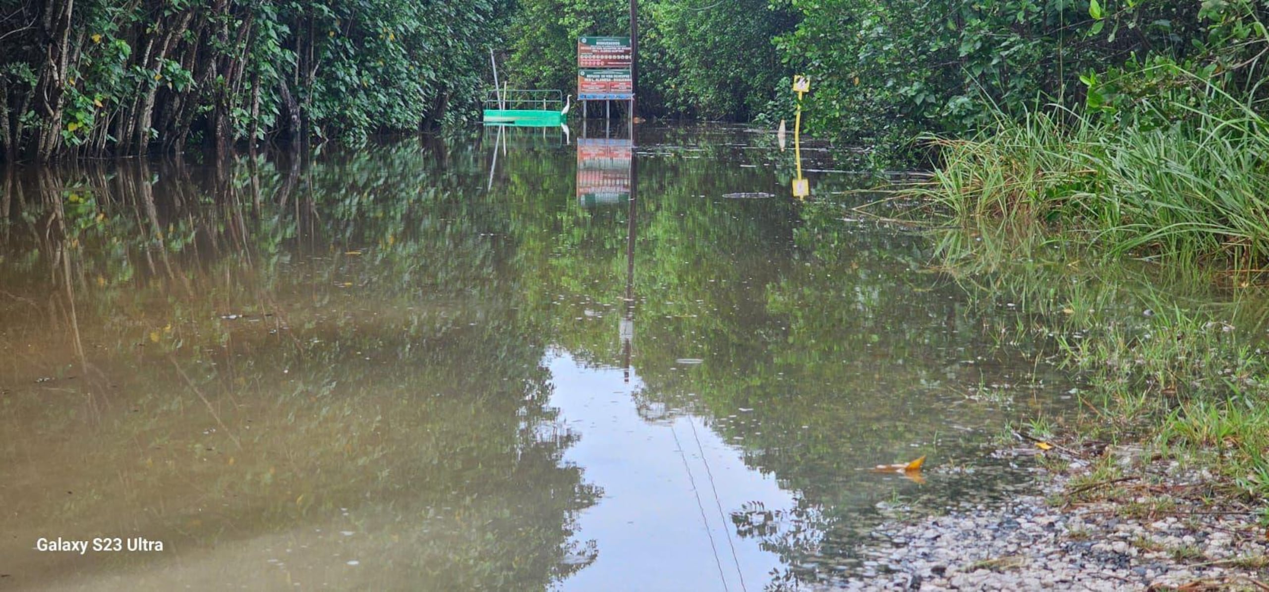 Inundaciones en el Refugio de Vida Silvestre de Boquerón.