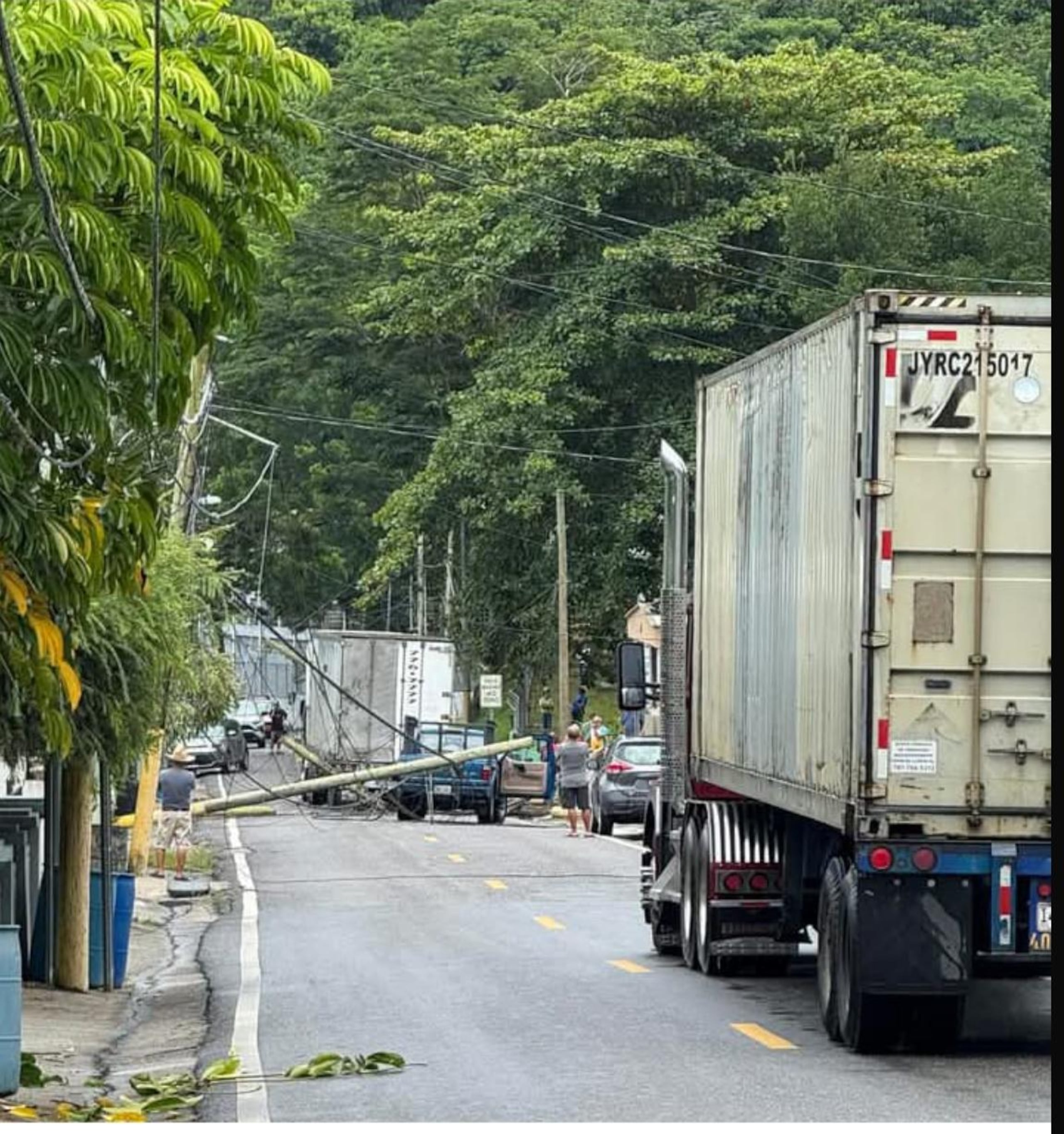 La carretera PR-140 en el barrio Collores, en Jayuya, ya que está obstruida por varios postes del tendido eléctrico que cayeron sobre la vía de rodaje.
