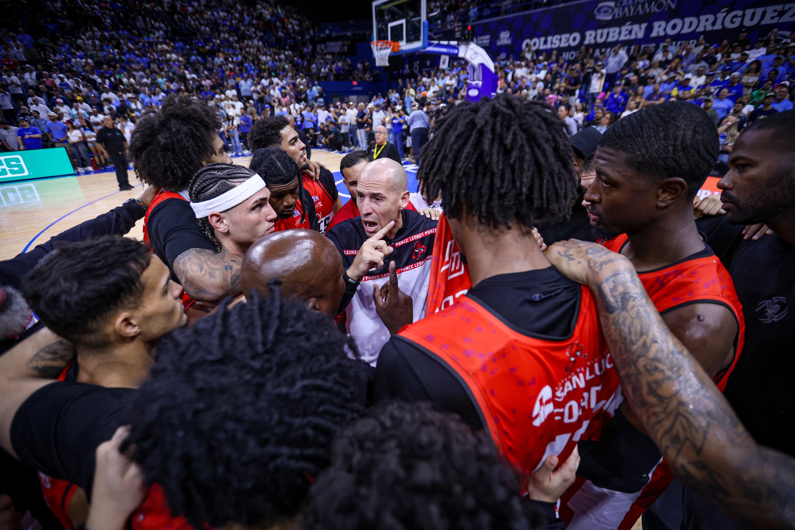 Carlos Rivera lideró a los Leones a su primera final desde 2019. El exarmador dirige a los Leones en propiedad desde el 2024.