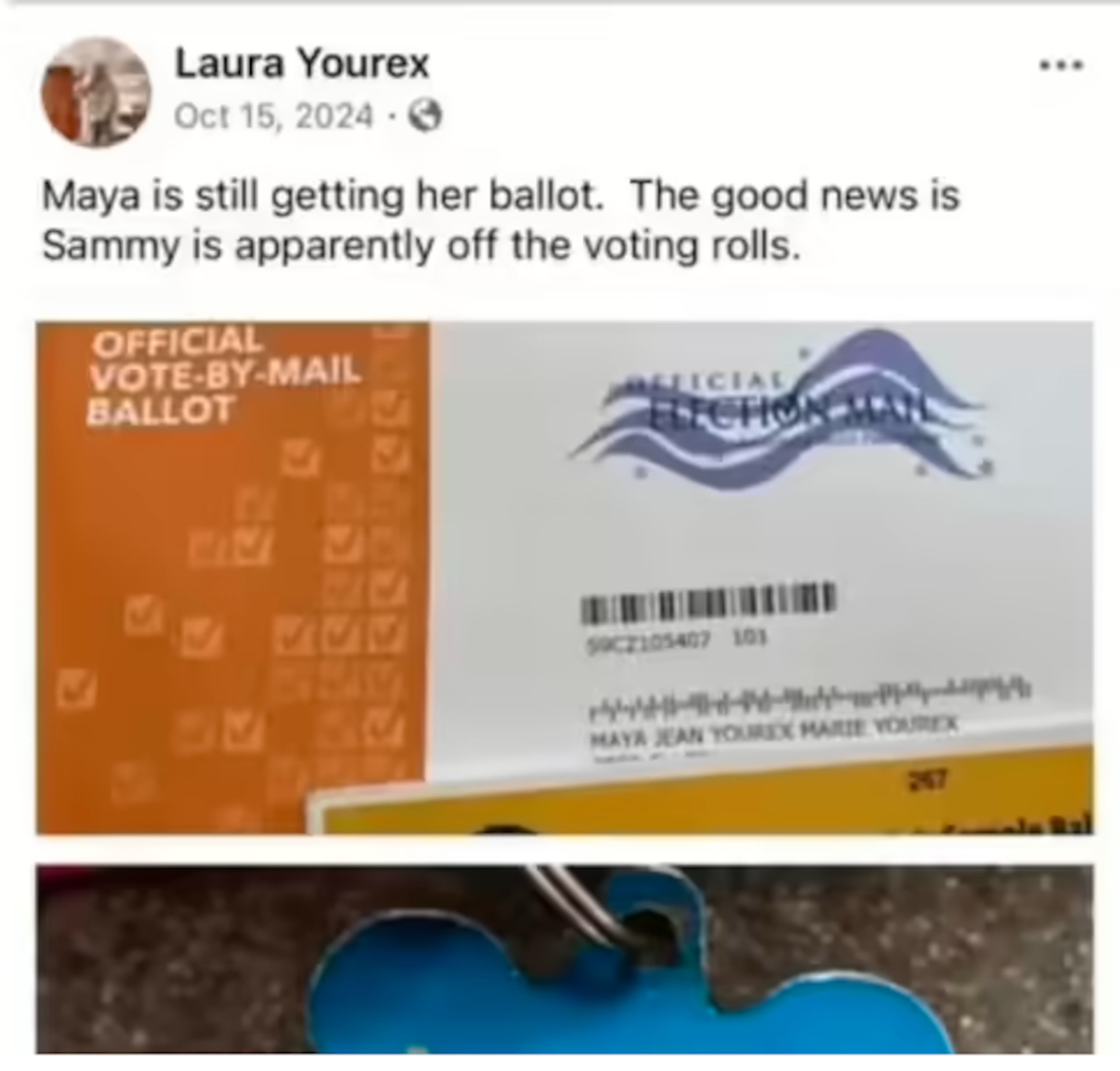Laura publicó fotos en redes sociales mostrando las boletas y actividades electorales de su perro.
