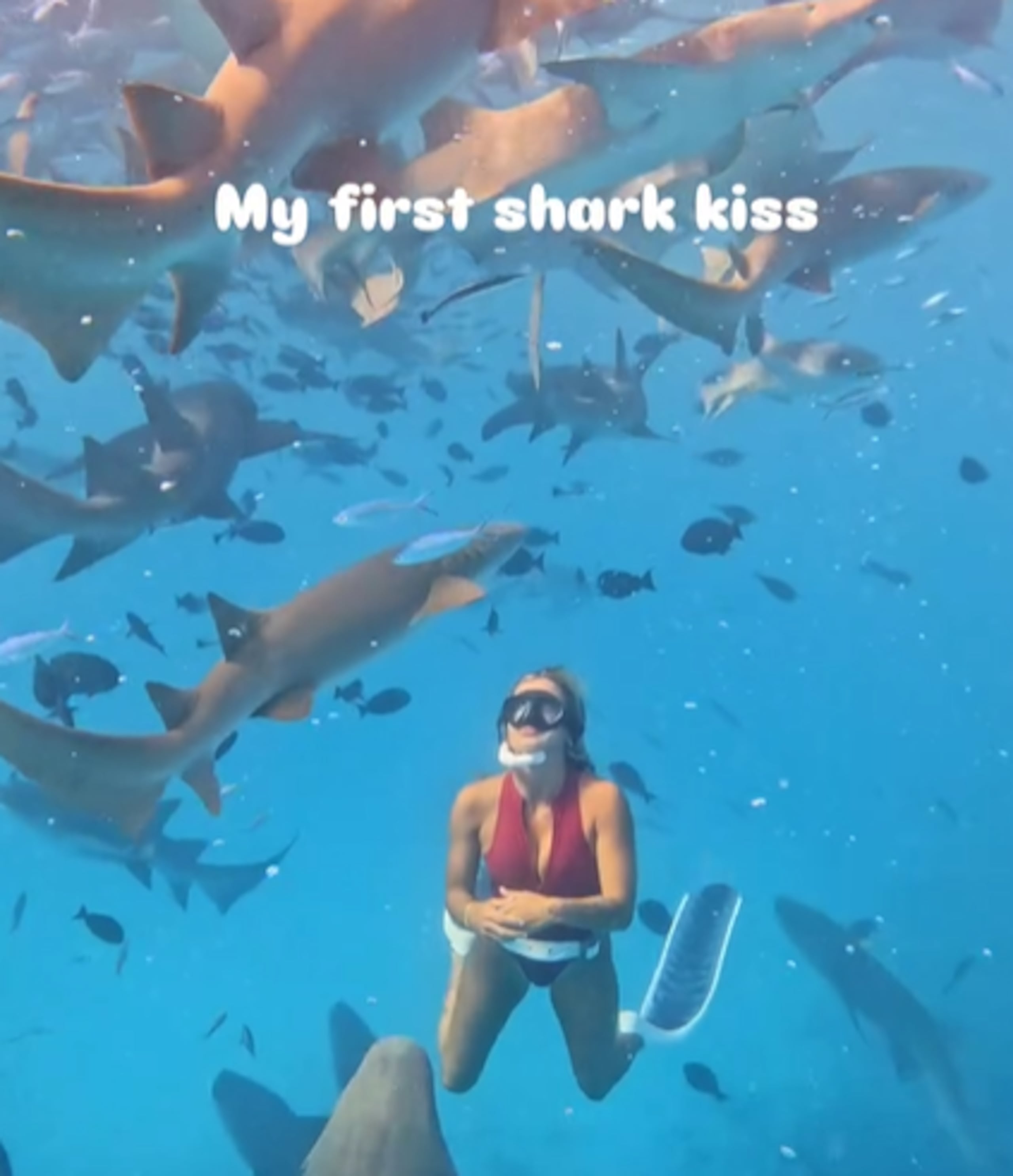 Influencer que nadaba con tiburones