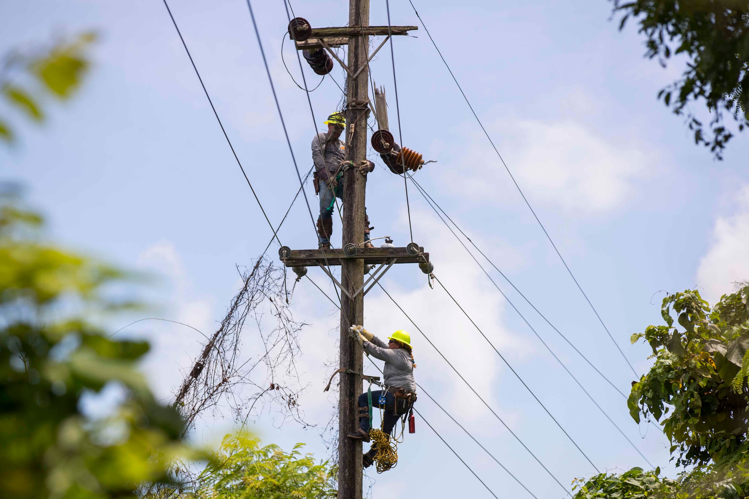 La medida también establece que la Autoridad de Energía Eléctrica (AEE) y la de Acueductos y Alcantarillados (AAA) les dé "prioridad" en la restauración de la energía eléctrica y de agua ante un evento de interrupción de estos servicios esenciales, como s