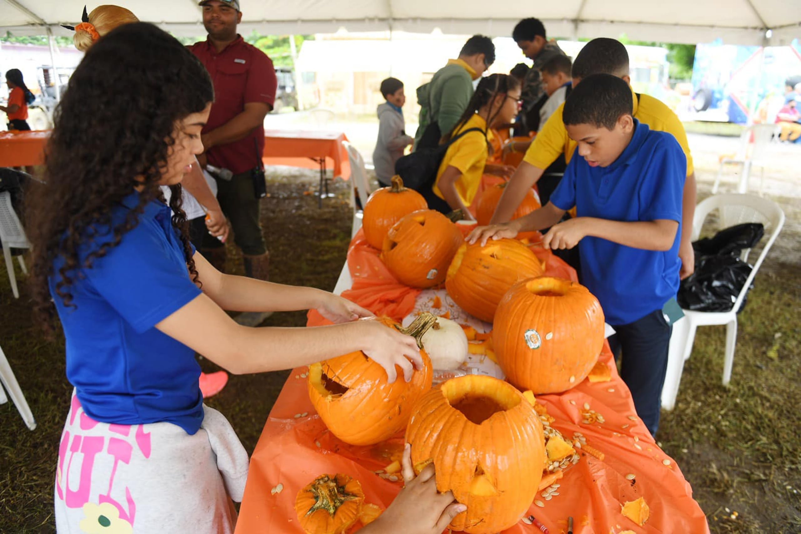Adelanta la diversión de Halloween en La Central Pumpkin Patch en Canóvanas.