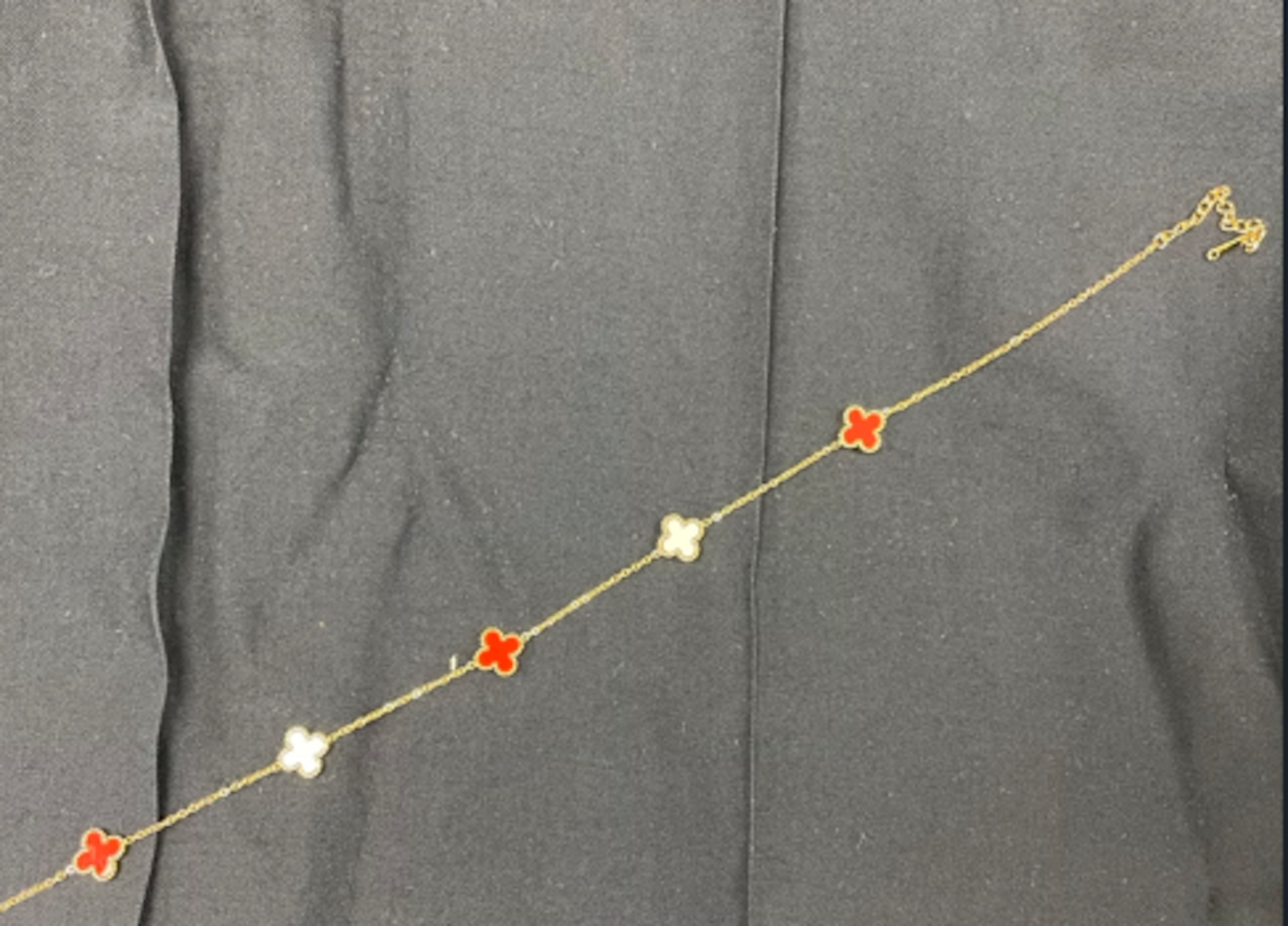 Oficiales de Aduanas y Protección Fronteriza de Estados Unidos incautaron un envío que contenía joyas de diseño falsas valordas en $3.5 millones.