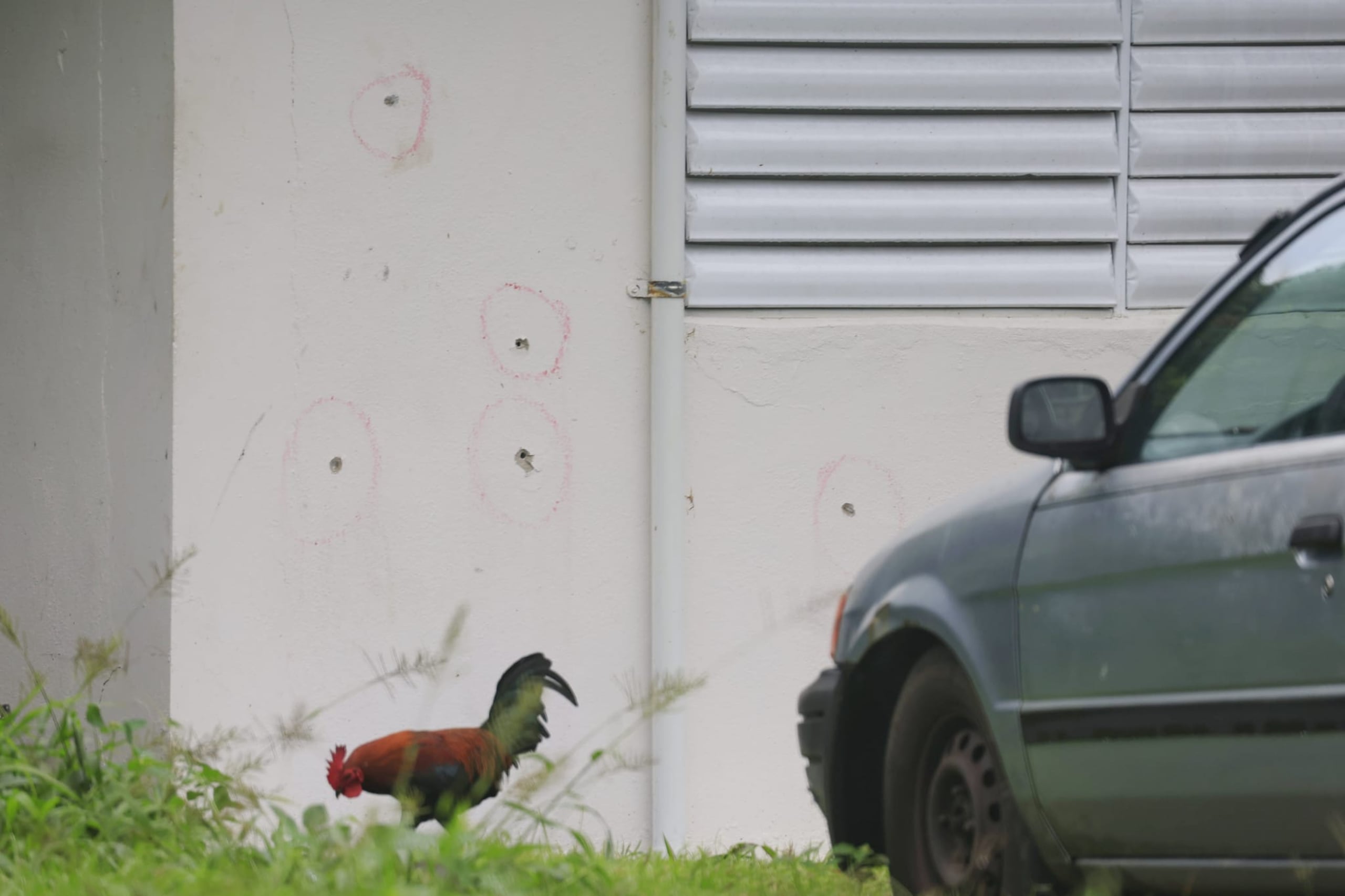 Escena del asesinato de los hermanos de ocho y 13 años en Río Grande.