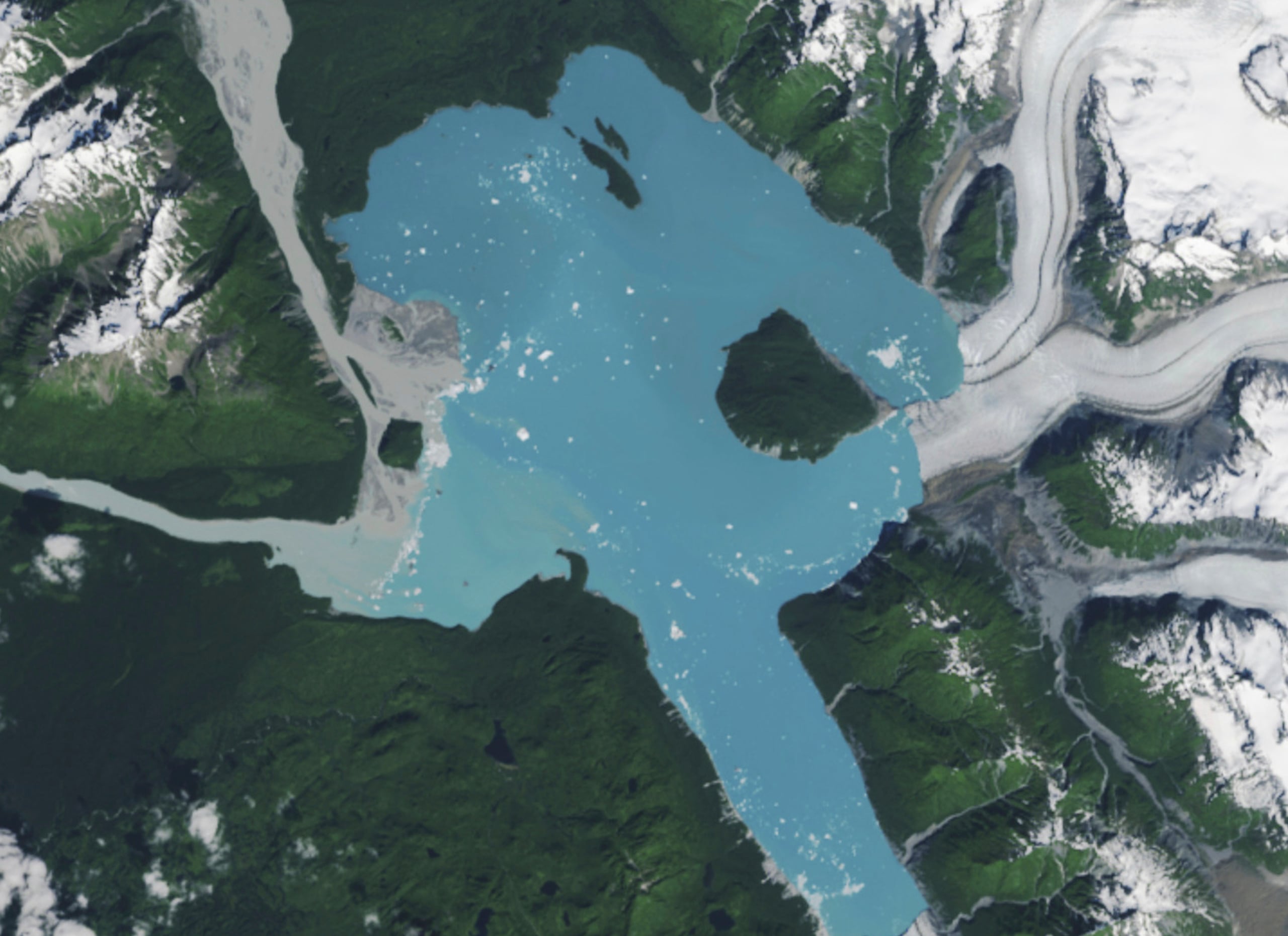 Esta imagen satelital difundida por el Observatorio Terrestre de la NASA muestra al Glaciar Alsek, en el Parque Nacional y Reserva Glaciar Bay, en Alaska, después de perder contacto con la masa terrestre, dejando al descubierto una isla, el 6 de agosto de 2025.(Observatorio Terrestre de la NASA vía AP)