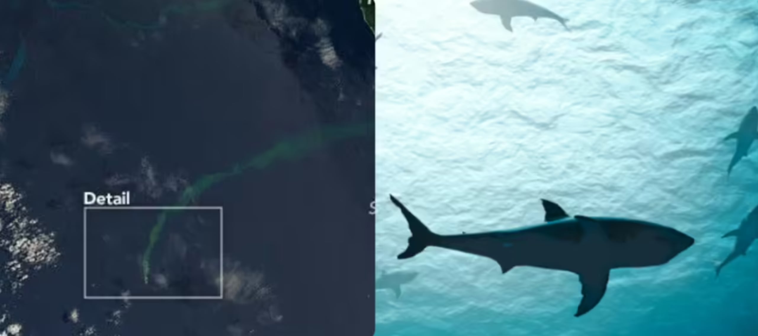 El hallazgo se produjo en el volcán Kavachi.