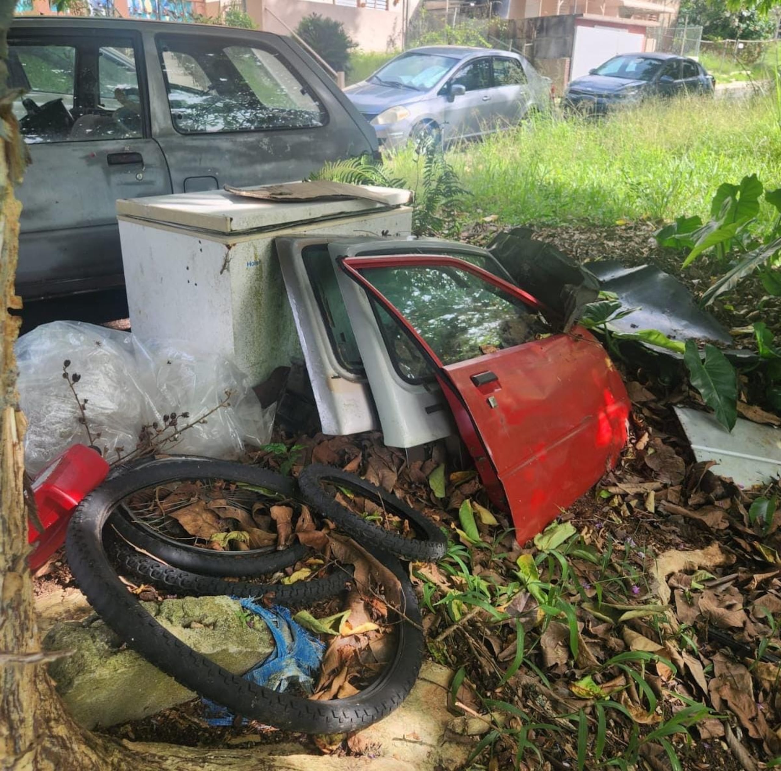 Resultados de un plan estratégico interagencial entre la División de Vehículos Hurtados de Utuado, para la identificación de autos abandonados y delitos ambientales.