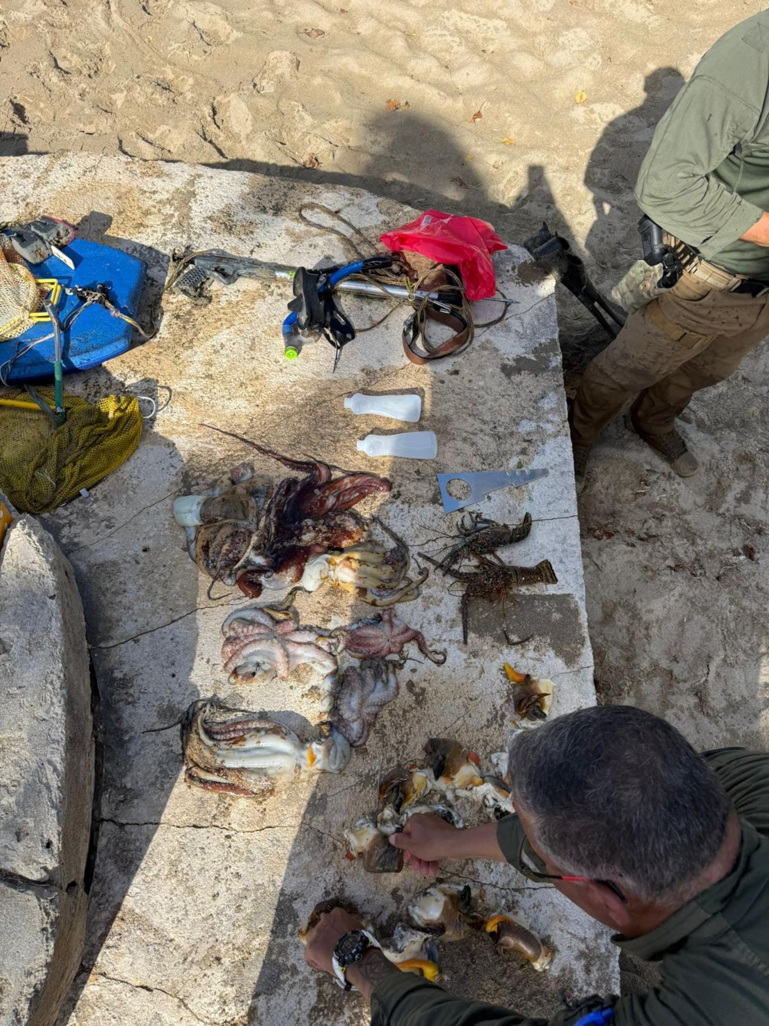 Durante las intervenciones, se sorprendieron pescadores recreativos practicando pesca a pulmón,utilizando arpón y bichero, así como el uso ilegal de sustancias químicas.