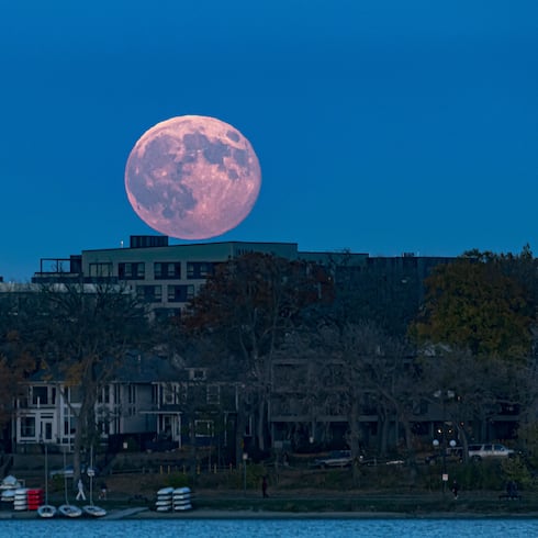FOTOS: La Superluna de noviembre billa más cerca en todo el mundo