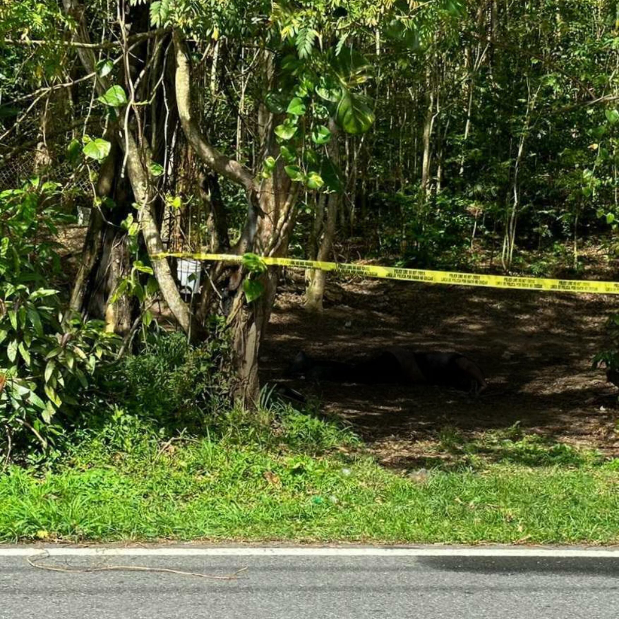 El cadáver en avanzado estado de descomposición fue hallado en un monte cerca del barrio Las Tres Y, en Río Grande.