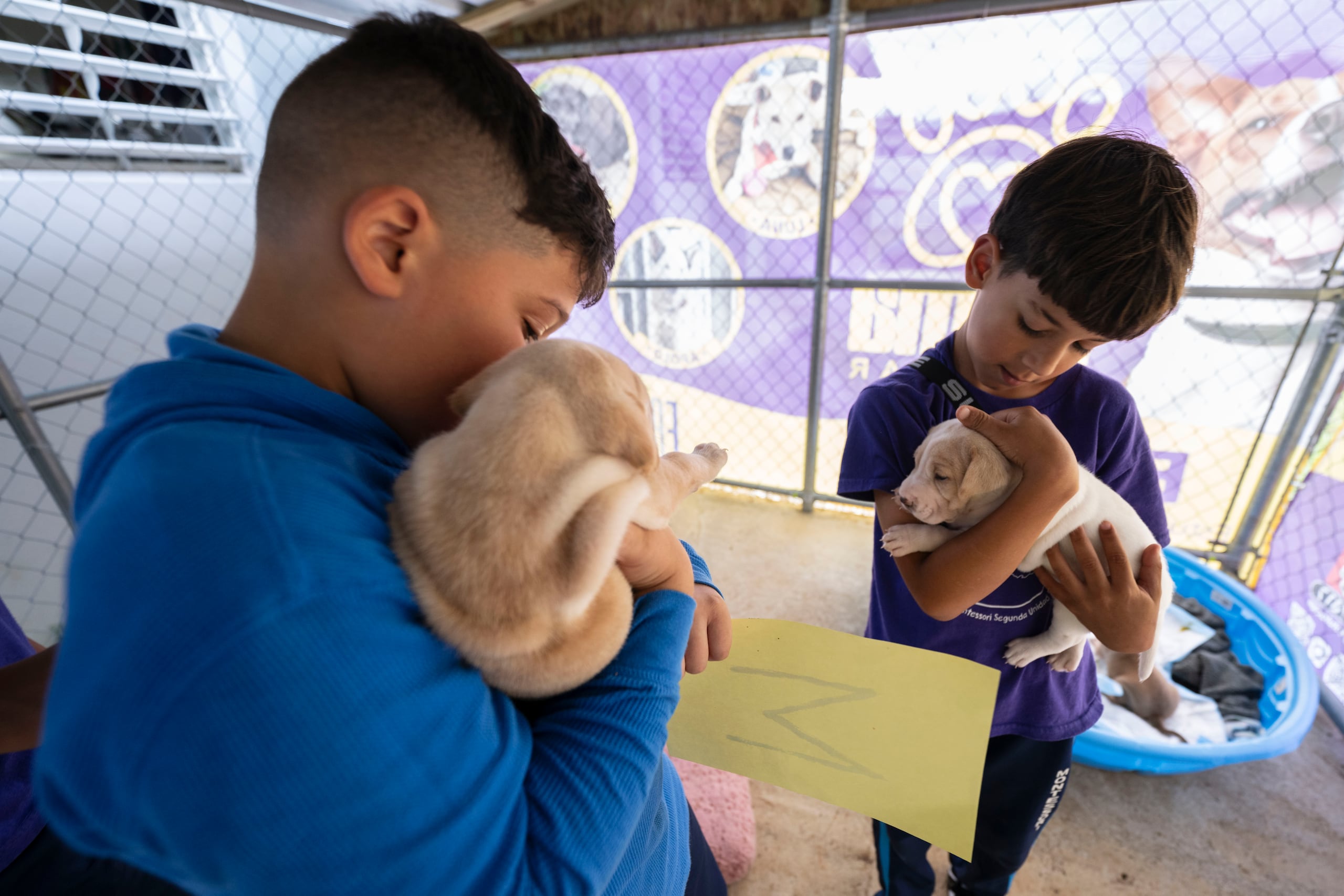 Los jóvenes de la escuela Montessori Segunda Unidad Pasto en Aibonito son integrantes del grupo Promotores del Bienestar Animal, programa en conjunto con el Departamento de Educación.