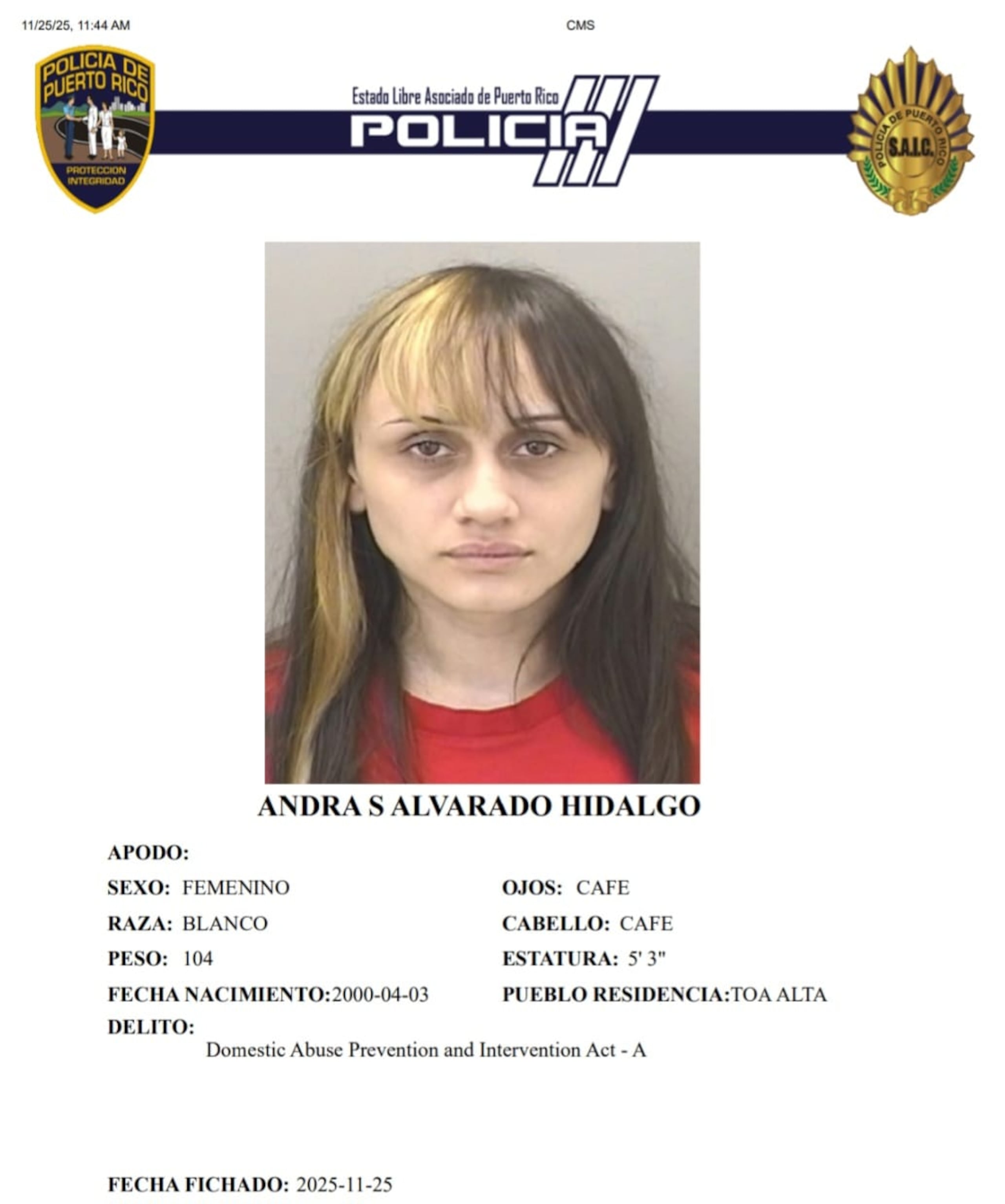 Andrea S. Alvarado Hidalgo, enfrenta un cargo por maltrato por violencia doméstica.
