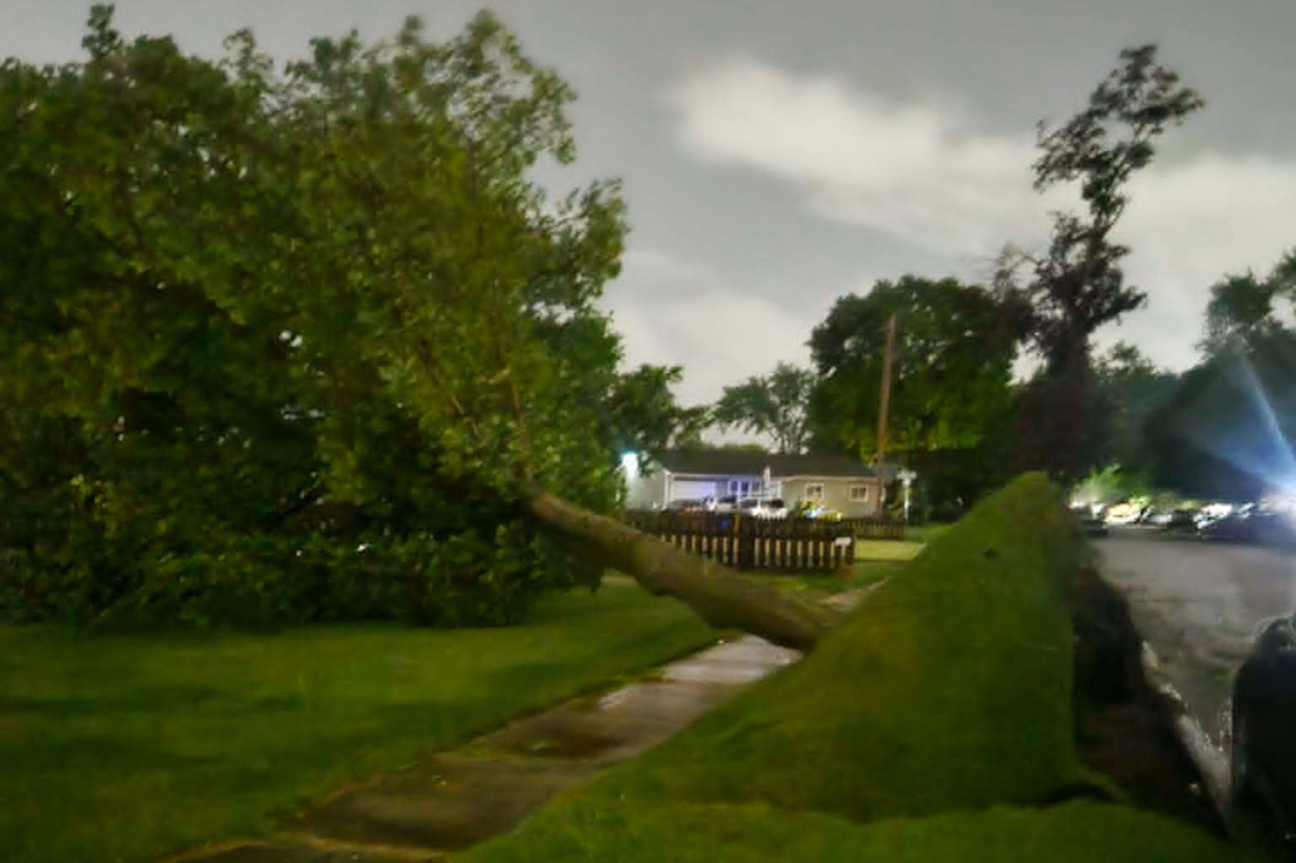 Se ve un árbol caído en Elkhart, Indiana, el jueves 11 de junio de 2026, tras el paso de un sistema de fuertes tormentas en la zona.
