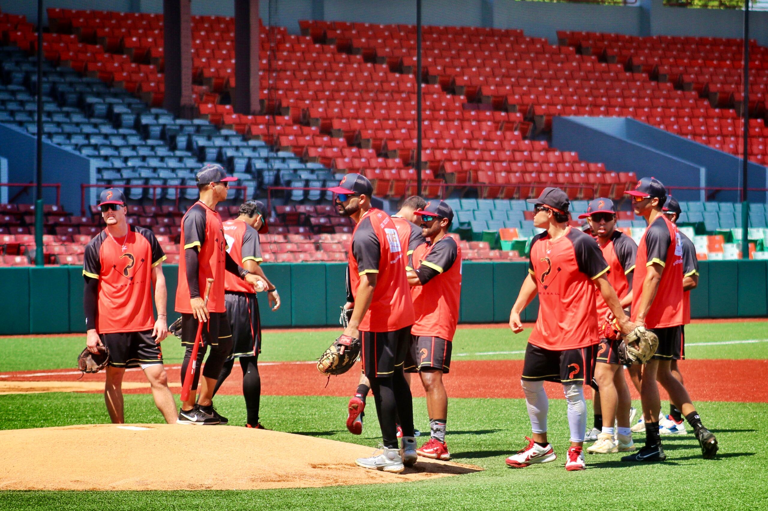 Jugadores de los Leones de Ponce se reúnen en el terreno de juego.
