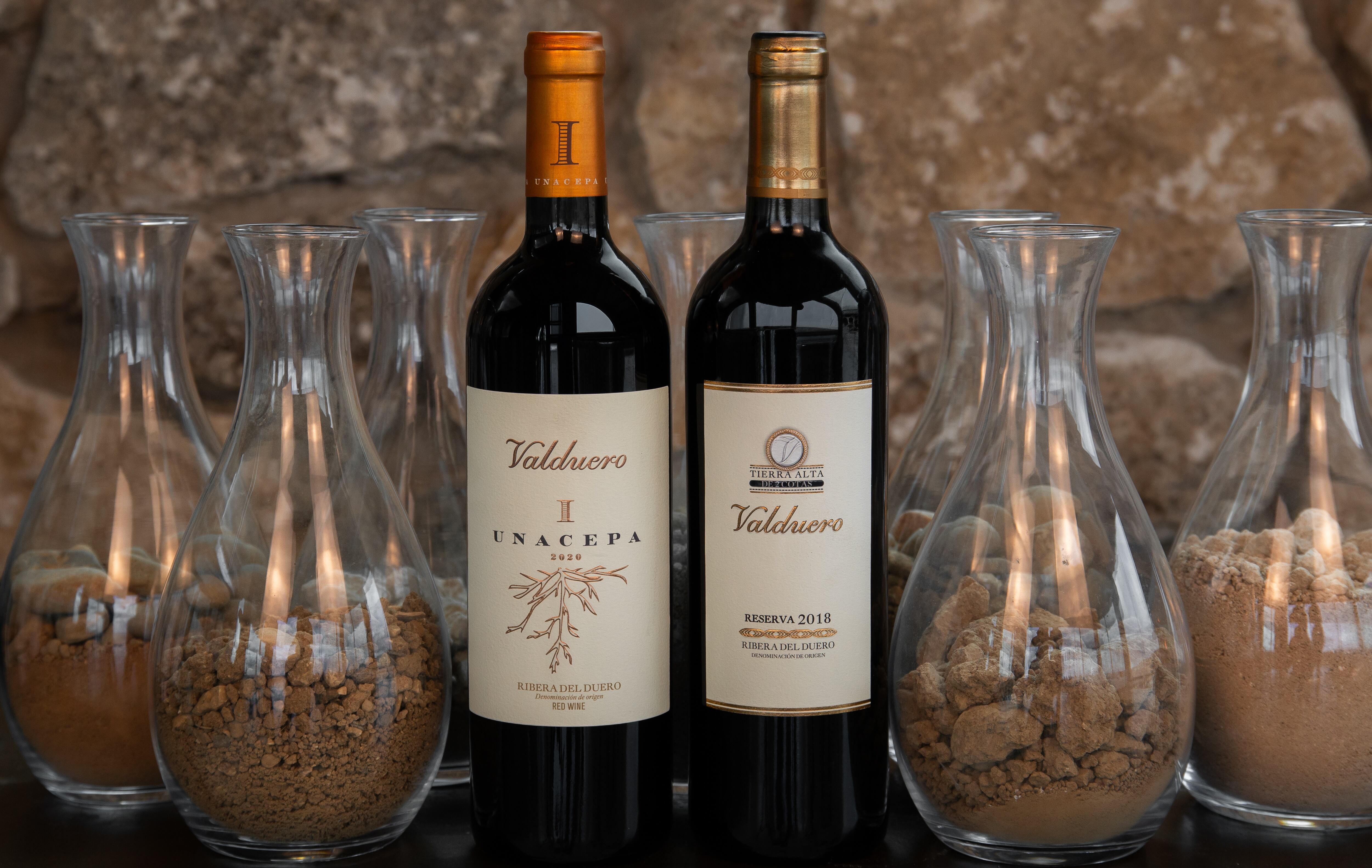 Imagen de la cobertura de: Dos vinos de Bodegas Valduero resaltan en Wine Enthusiast
