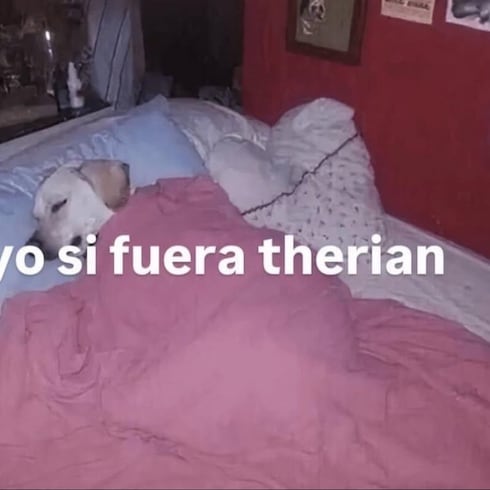 Los mejores memes de la semana