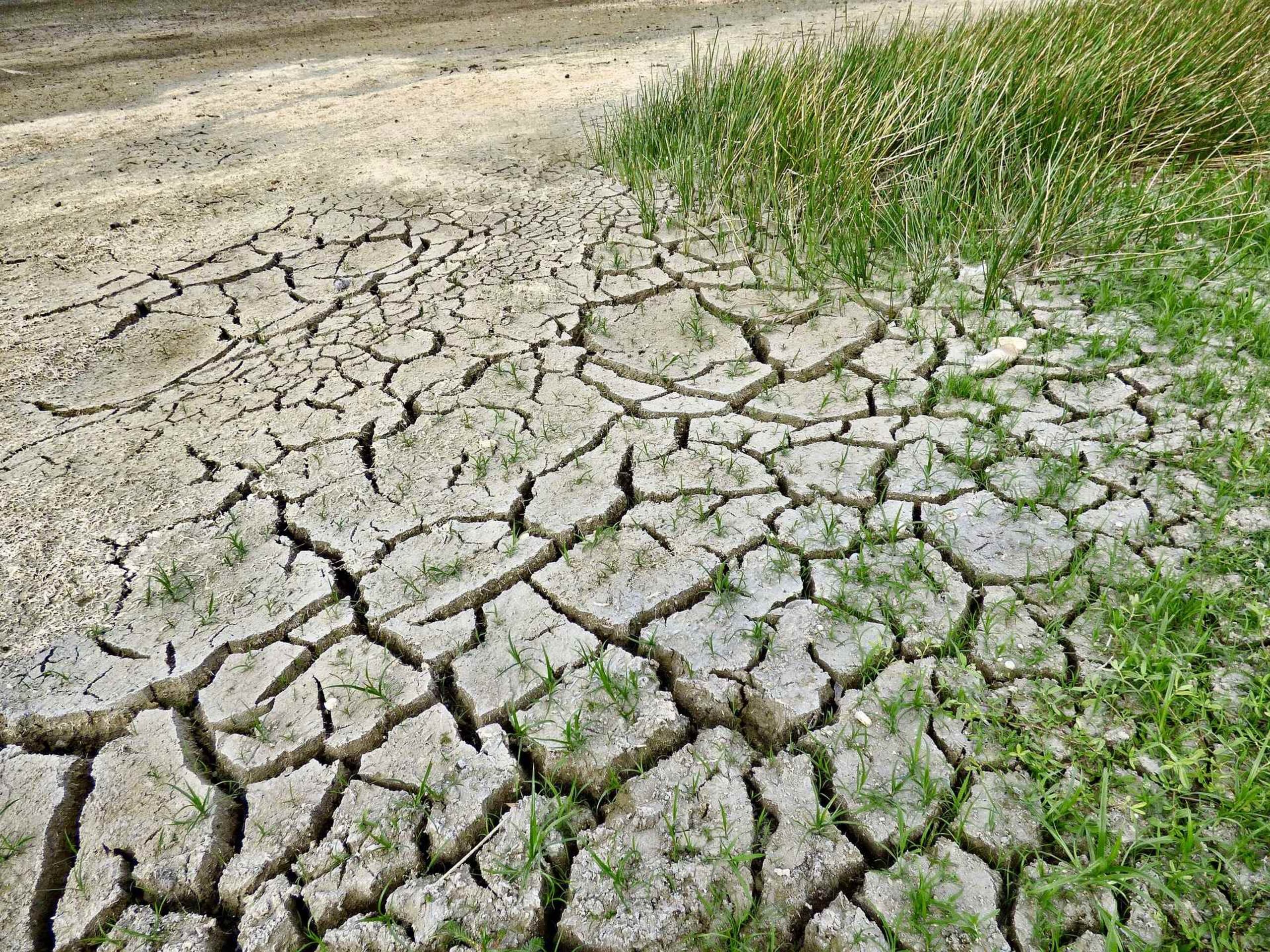 "El incremento de las temperaturas, el extremo calor, las sequías, los incendios en los pastizales, las lluvias torrenciales, todo ello alterará de manera exponencial la productividad de Estados Unidos", señala el informe. (Pixabay)