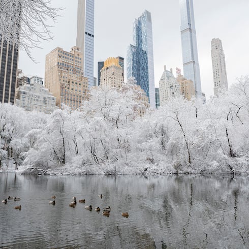 FOTOS: Así amaneció Nueva York con la primera nevada de la temporada