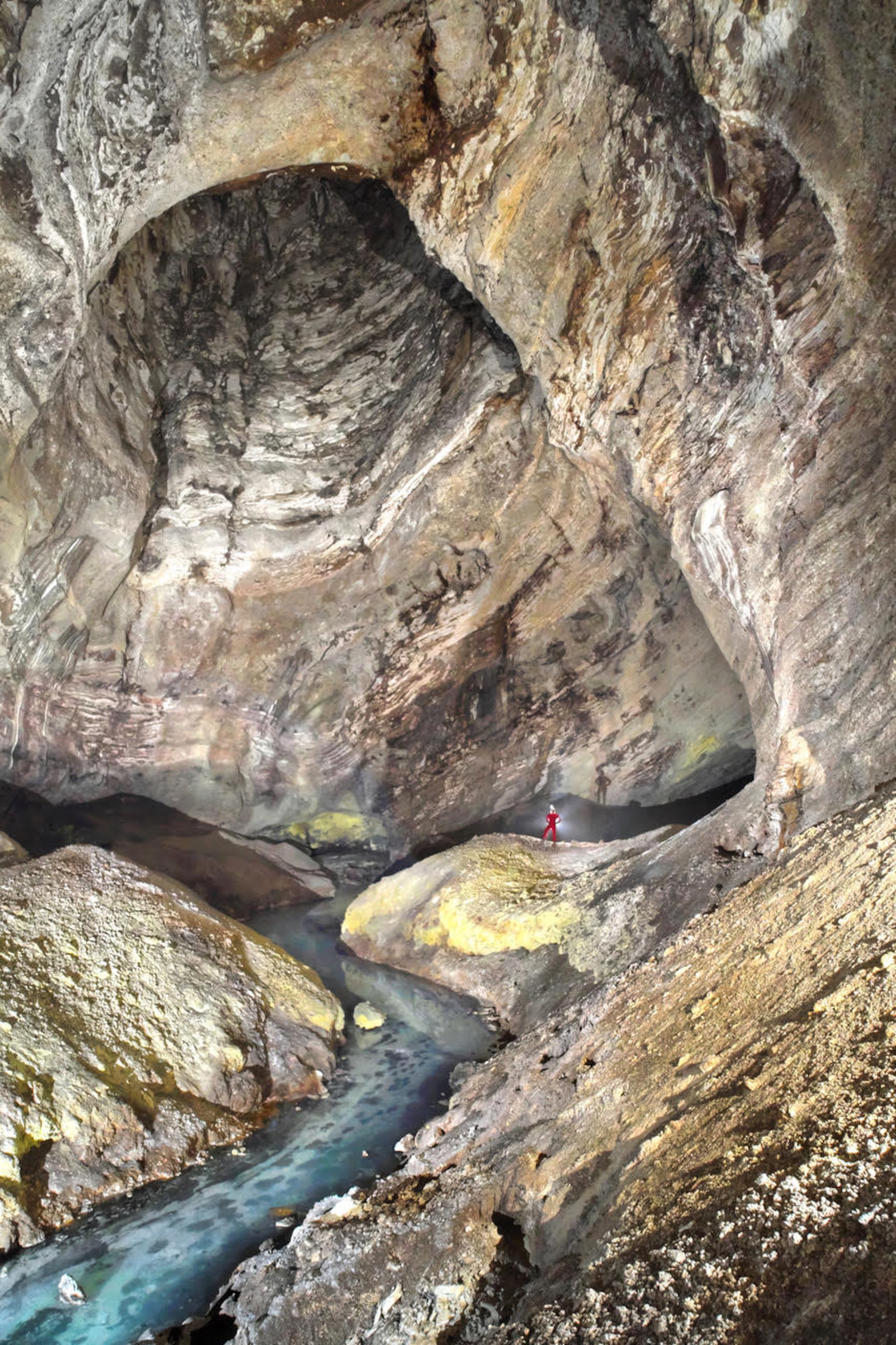 Según los científicos, este “caso único de colonialidad facultativa” está impulsado por la abundancia de recursos.
