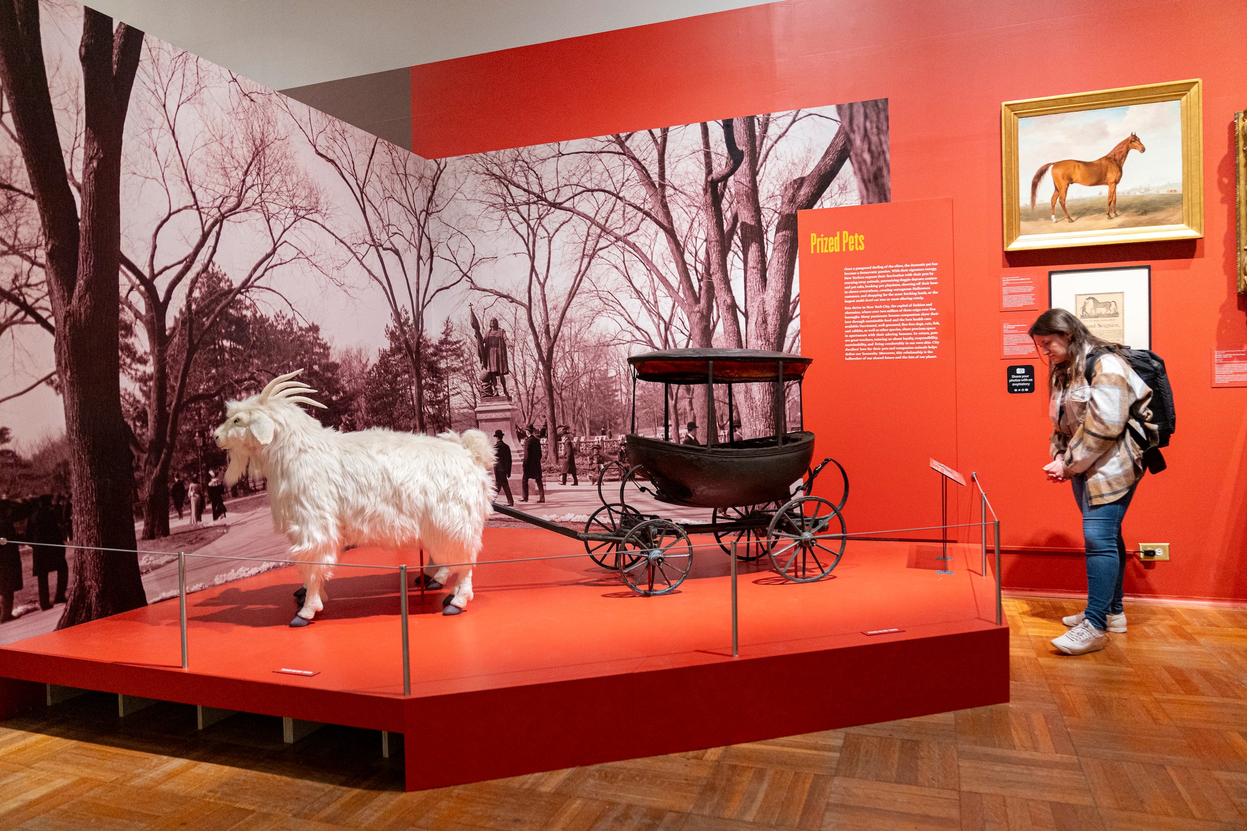 Una mujer visita la exposición 'Pets and the City' (las mascotas y la ciudad) este viernes, en la sede del museo en Nueva York (EE.UU.). (EFE/ Ángel Colmenares)