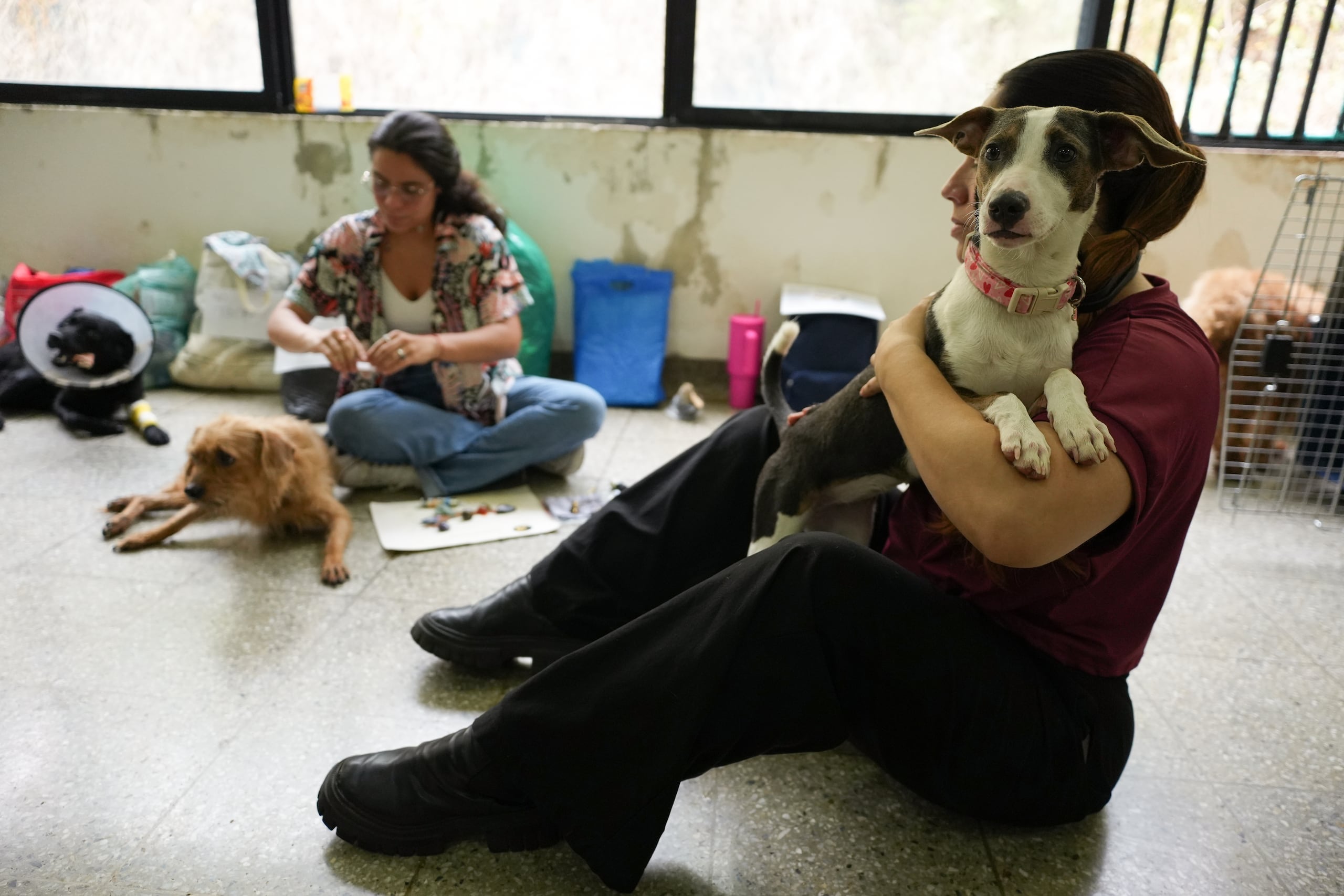 Voluntarias cuidan perros en el Centro de Bienestar Animal (CBA) este miércoles, en Cali (Colombia). (EFE/ Ernesto Guzmán)