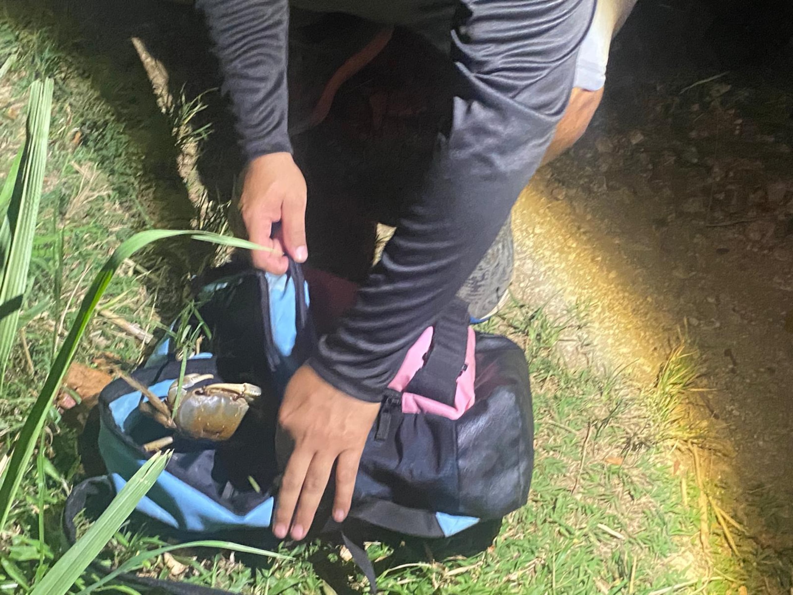 Vigilantes del DRNA incautaron jueyes capturados ilegalmente en la reserva natural La Esperanza, en Manatí.