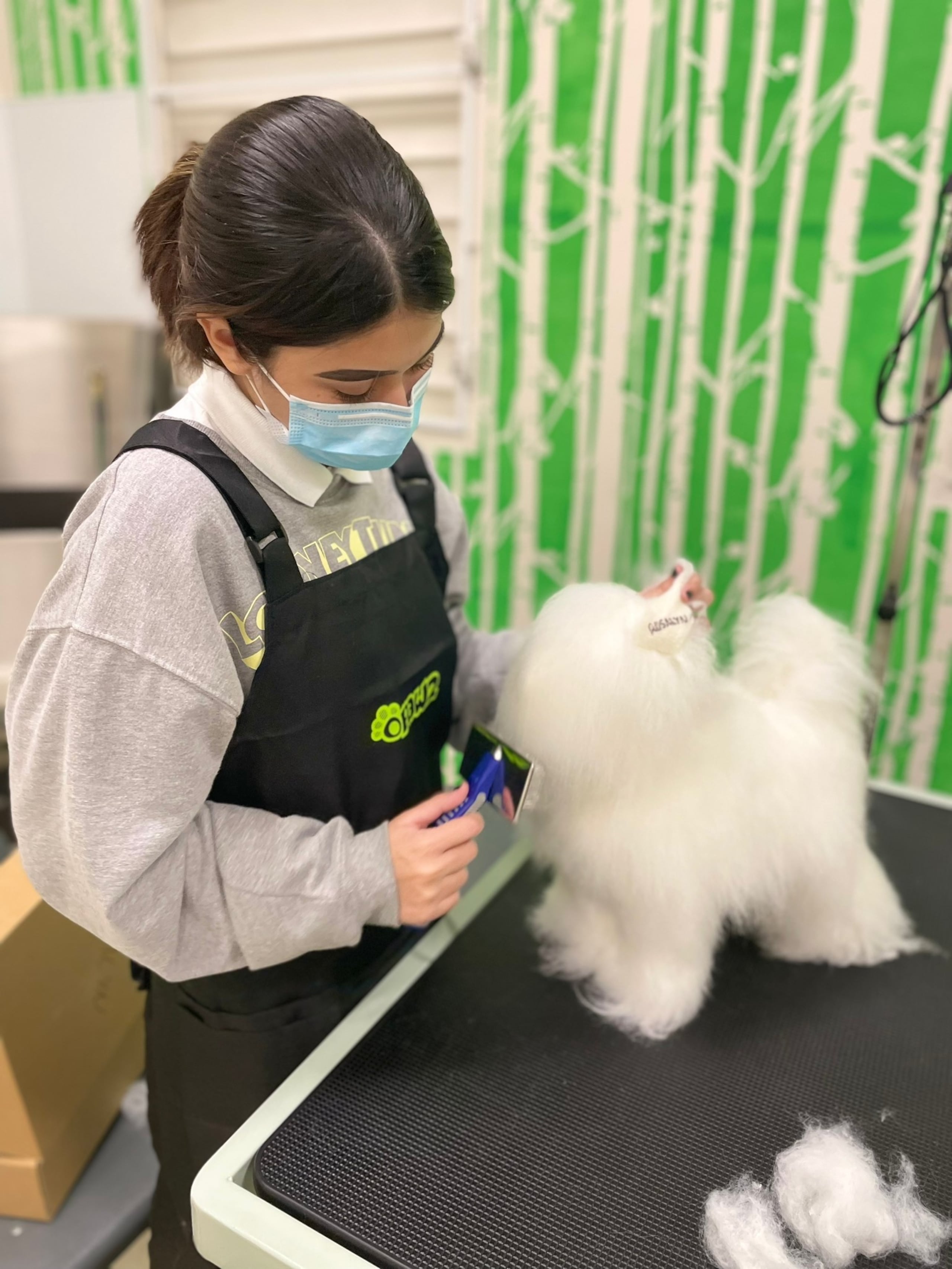 Entre las destrezas a desarrollar está la de Pet Grooming.