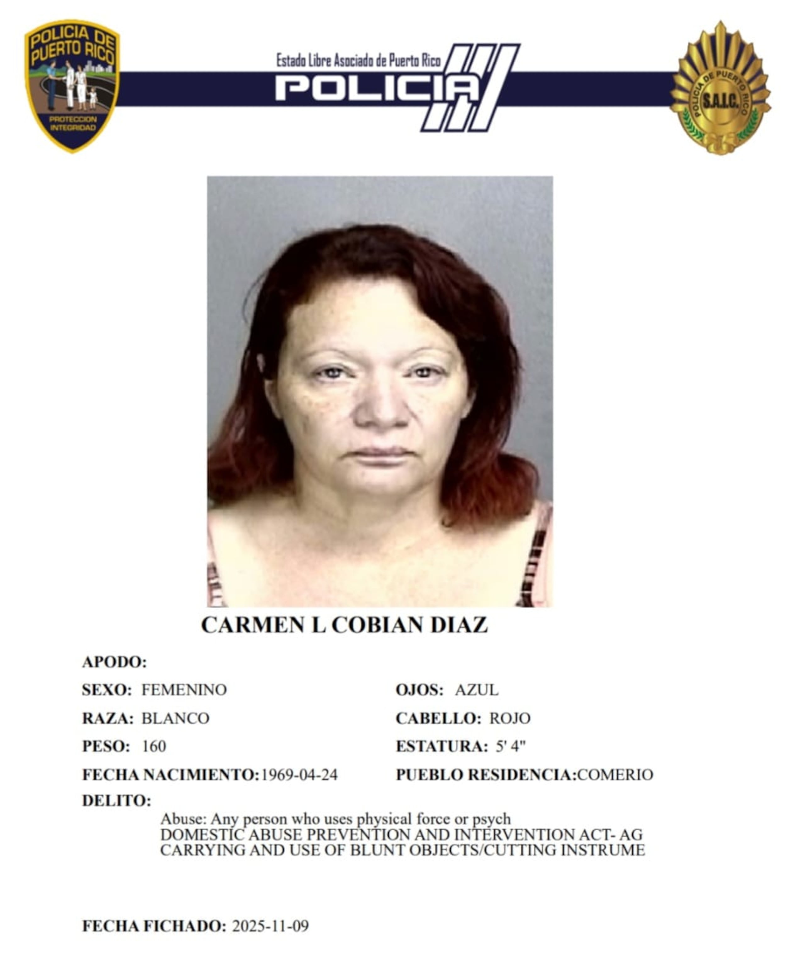 Carmen L. Cobián Díaz, enfrenta cargos por violencia doméstica, violación a la Ley de Armas y escalamiento agravado.