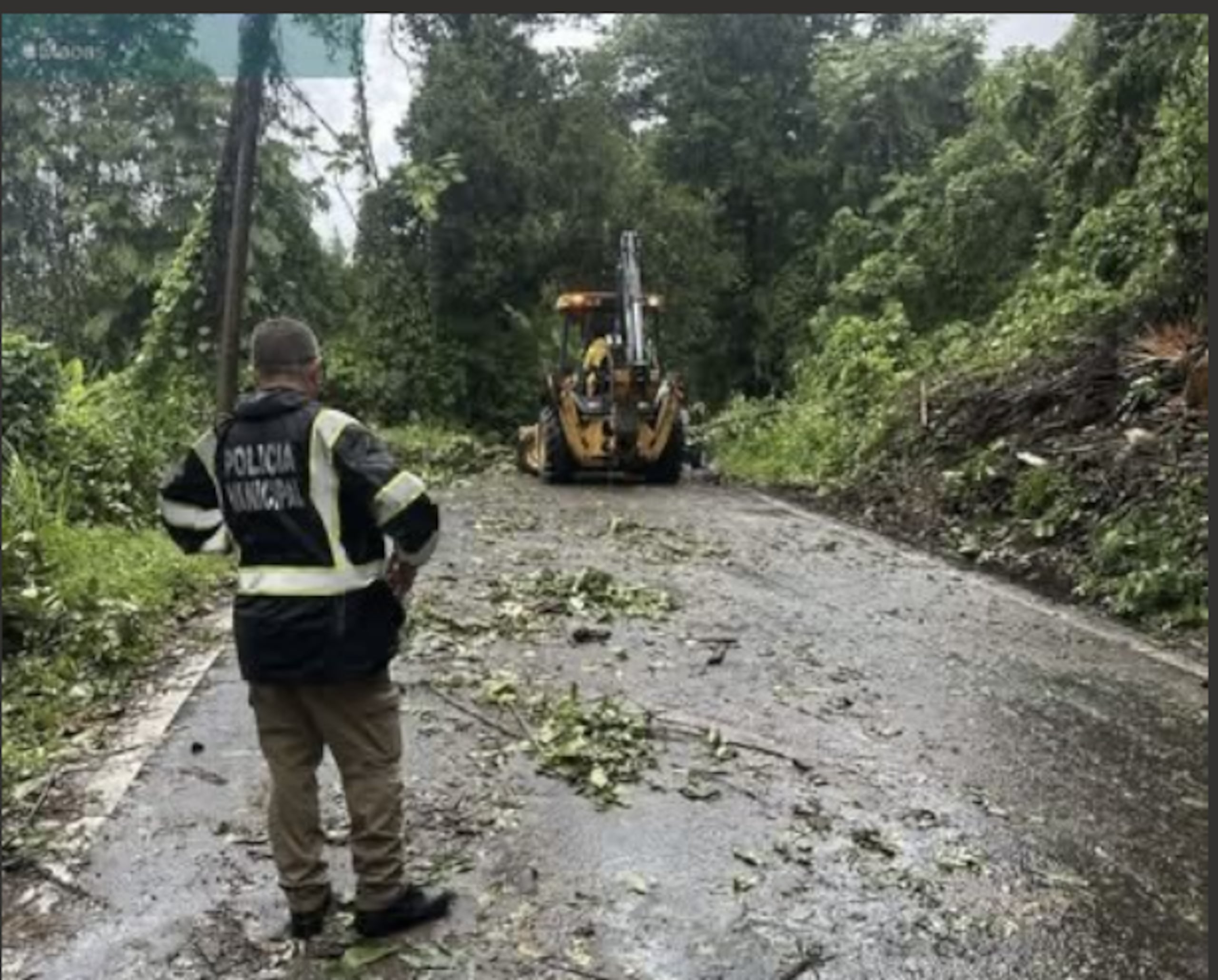 Municipio trabaja en carretera obstruida en Ciales