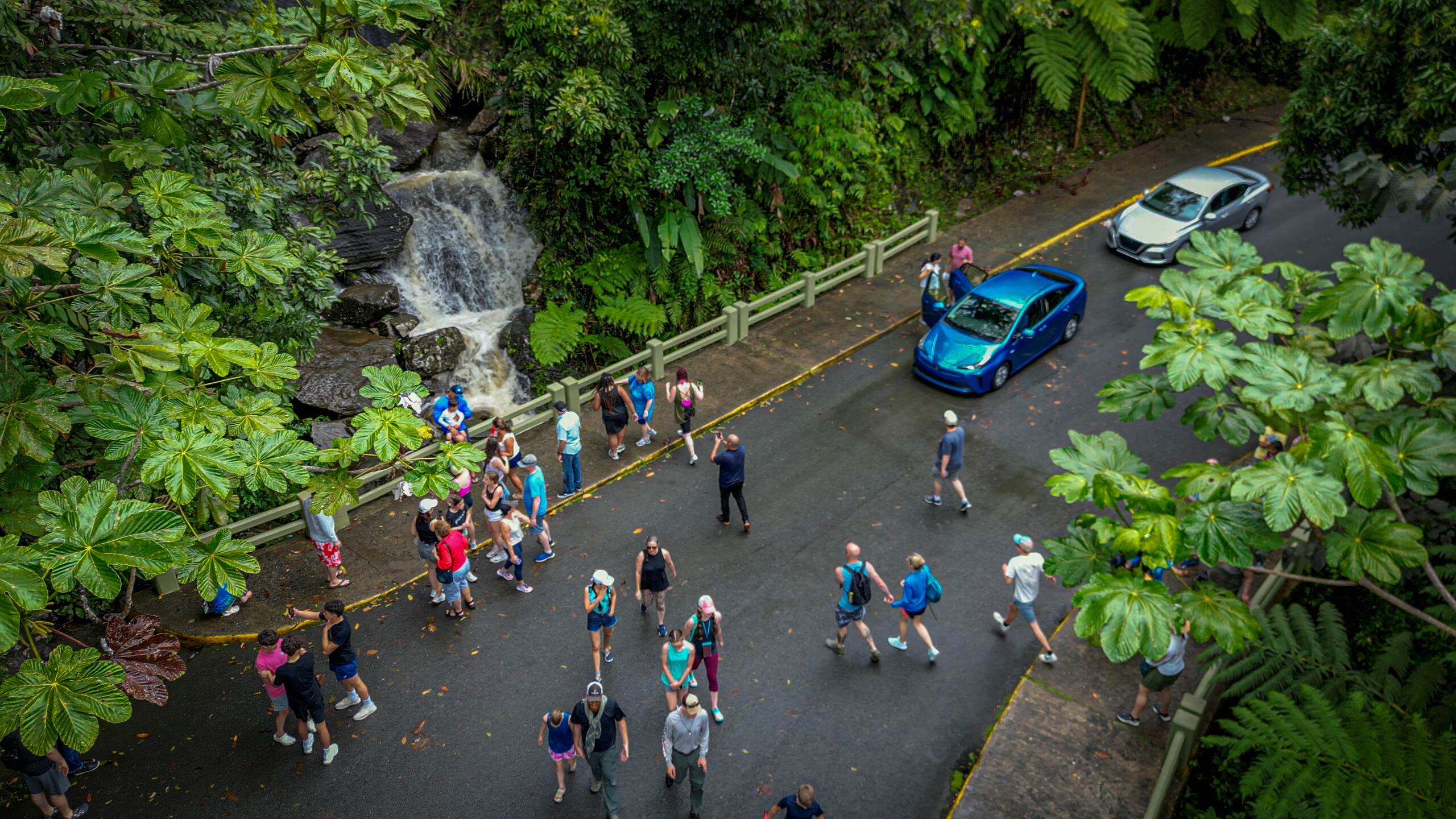 La carrera, de 8 kilometros, comenzará en el Poblado de Palmer a las 6:30 a.m. y recorrerá toda la Carretera PR 191 hasta la casacada La Coca en el Yunque, donde será la llegada.