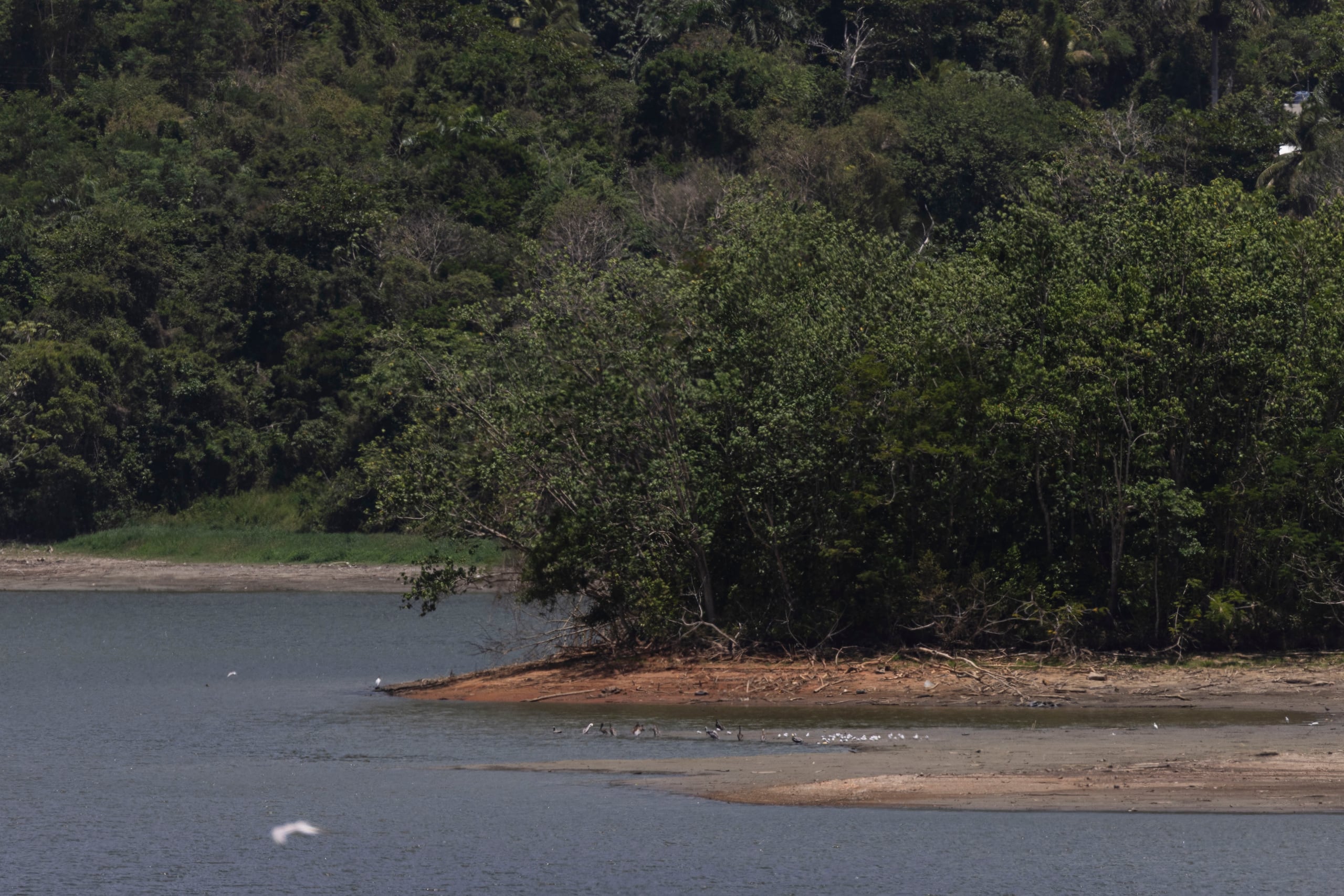 Impacto de la sequía en el embalse Carraízo. FOTO POR: Xavier Araújo / GFR Media