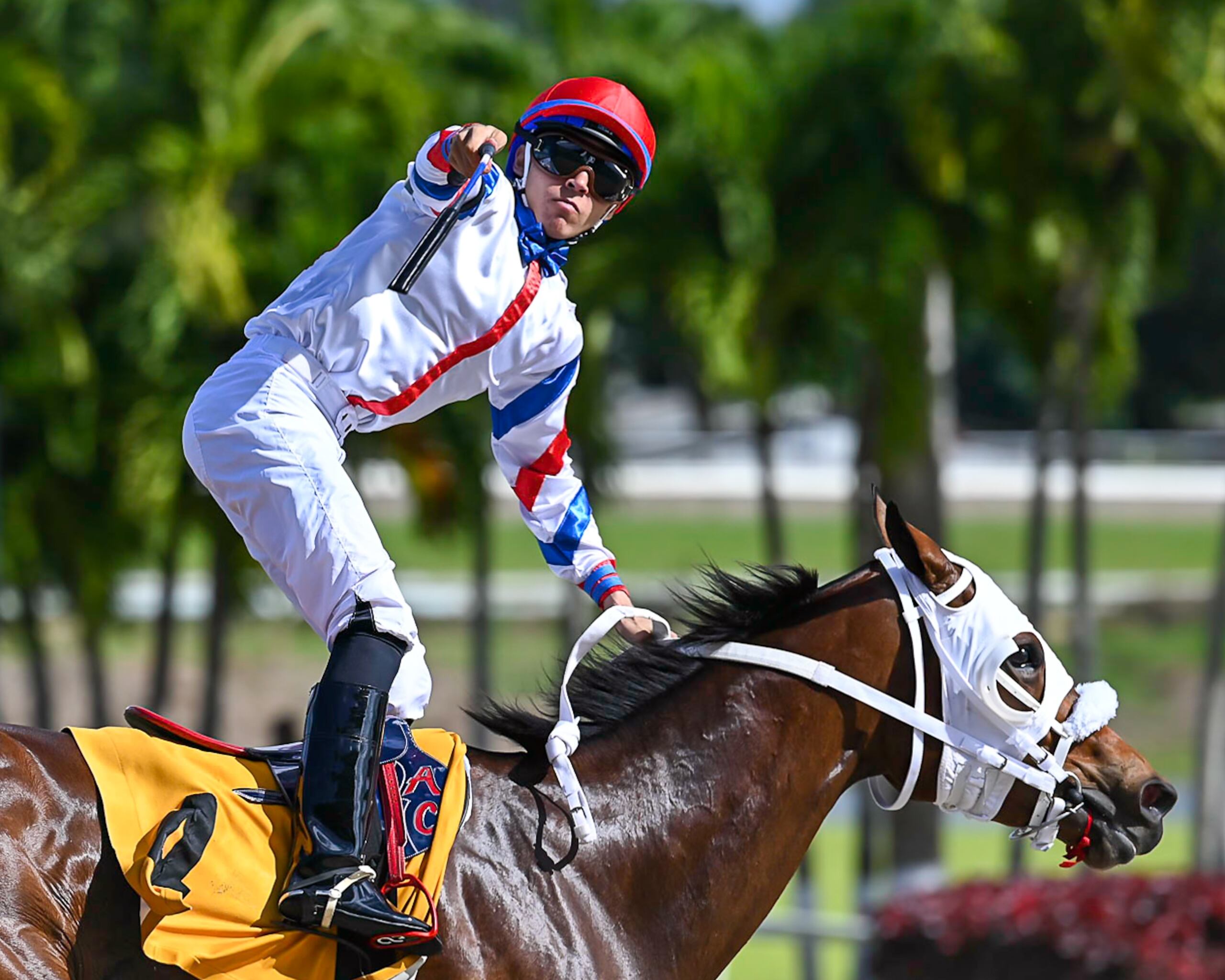 Axel Concepción es de la Clase 2023 de la Escuela Agustín Mercado Reverón y ya tiene un monta en el Kentucky Derby.