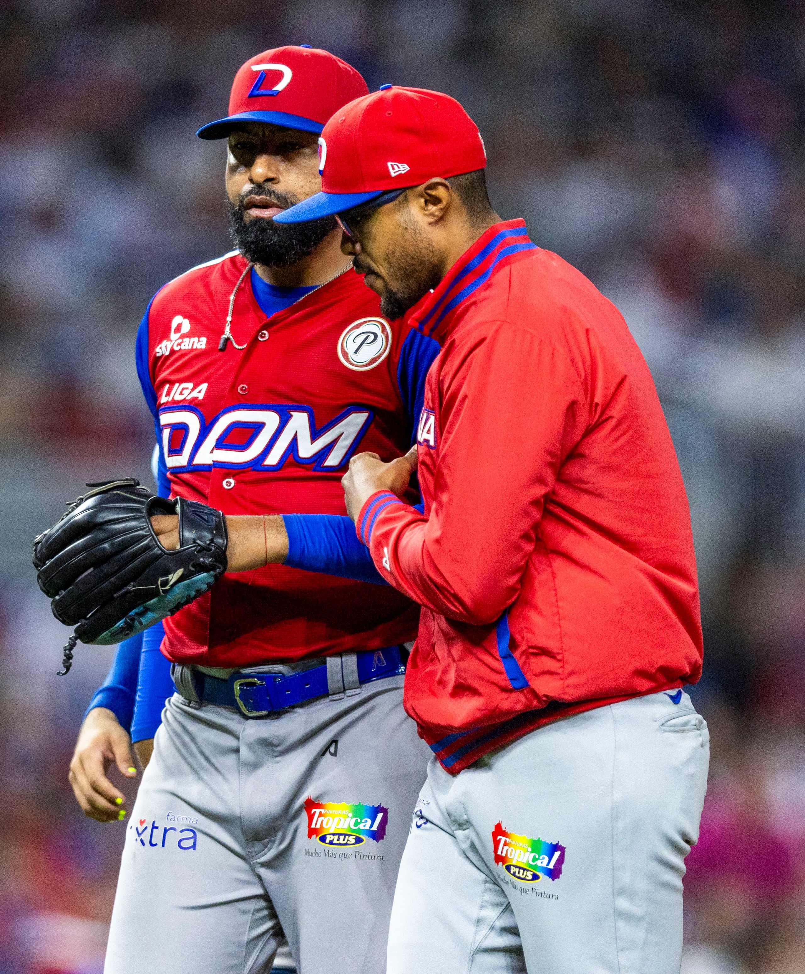 Gilbert Gómez, dirigente de los Tigres del Licey, salió a controlar a su lanzador Cesar Valdez quien se molesto con el umpire durante el juego contra los Criollos de Puerto Rico en la Serie del Caribe.