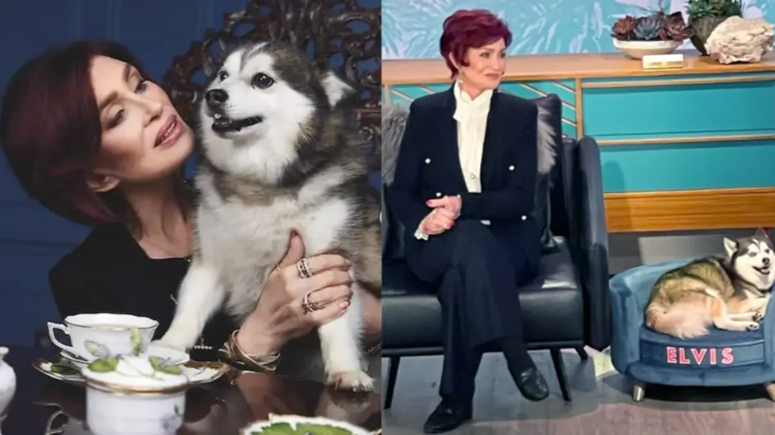 Sharon Osbourne y su perro Elvis.
