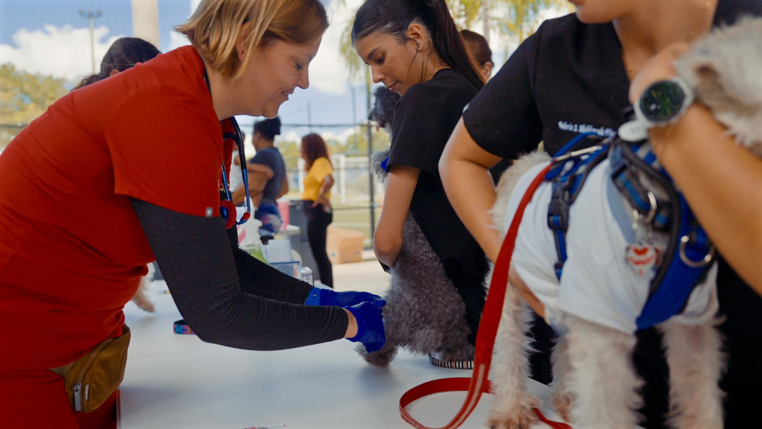 Técnicos veterinarios, estudiantes y voluntarios también ofrecieron sus servicios durante el evento.