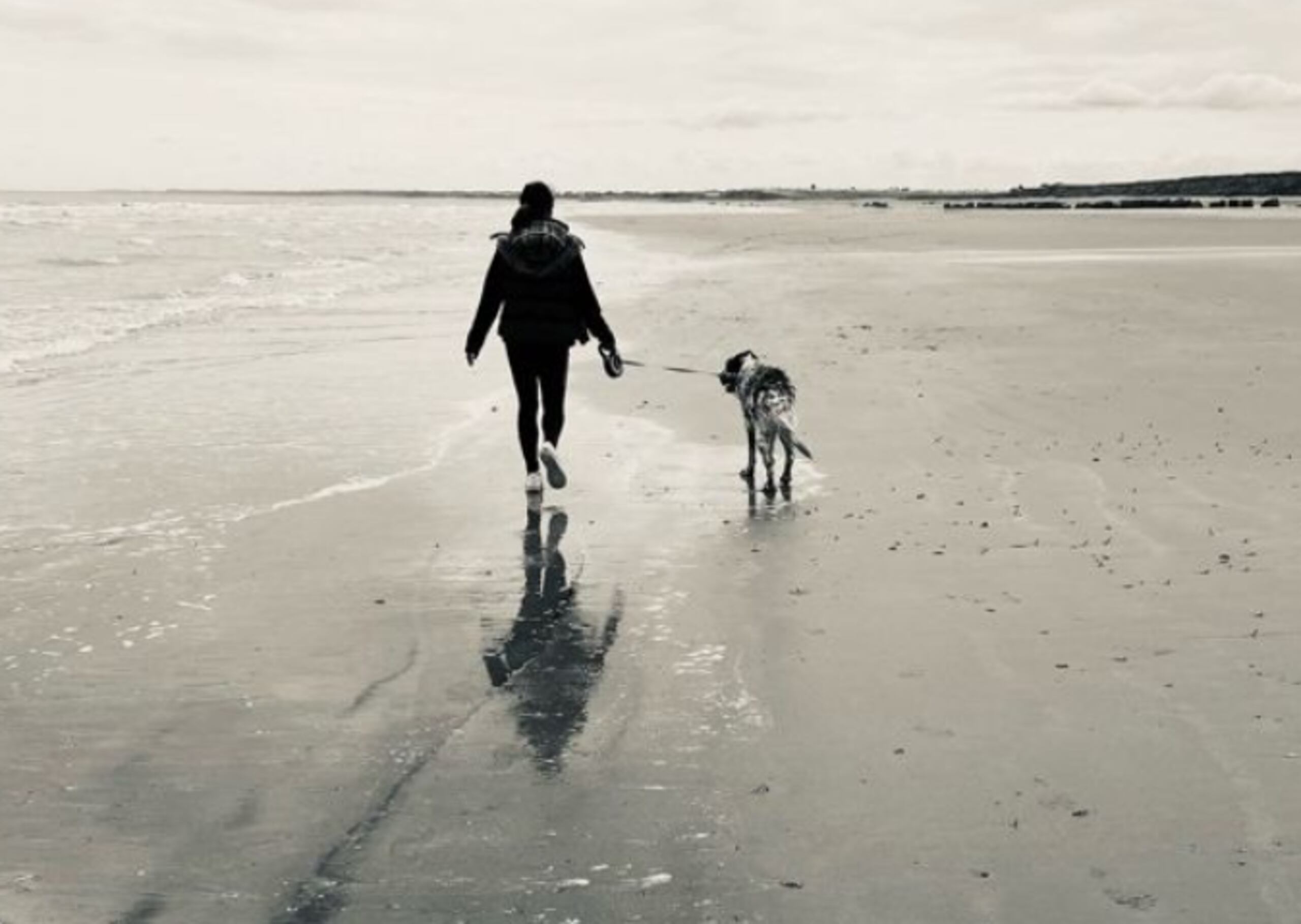 Daniella agradeció a su amor de cuatro patas (Fotocaptura)